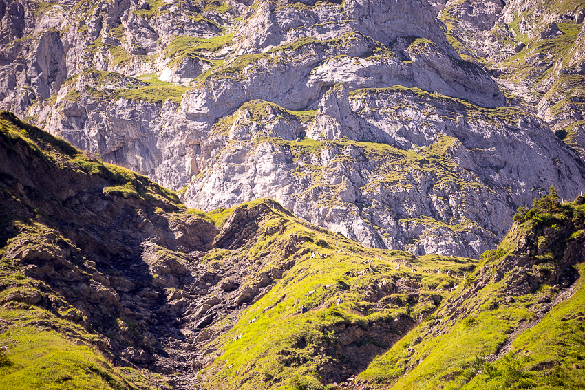 16 Bannalp DSC02632