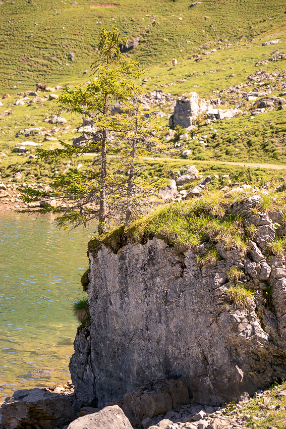 17 Bannalp DSC02633