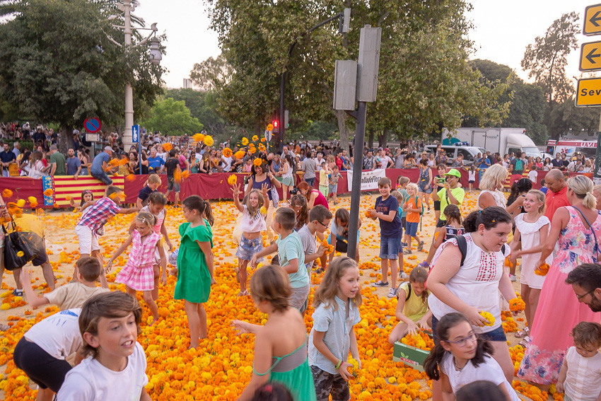 25 Batalla de Flores Valencia 2018 DSC02005