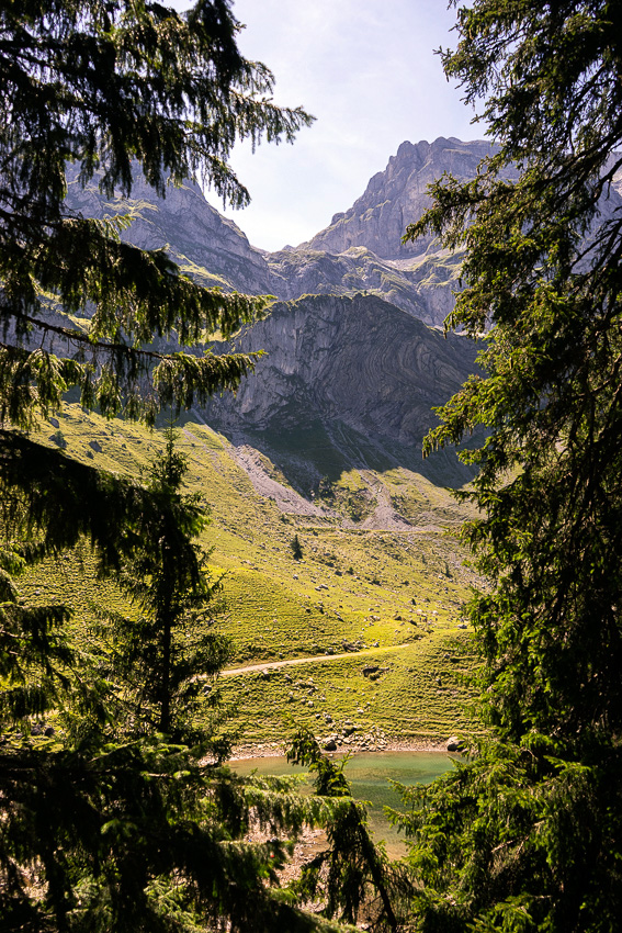 26 Bannalp DSC02671