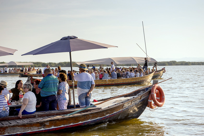 32 Romeria del Cristo de la Salud El Palmar 2018 DSC02188