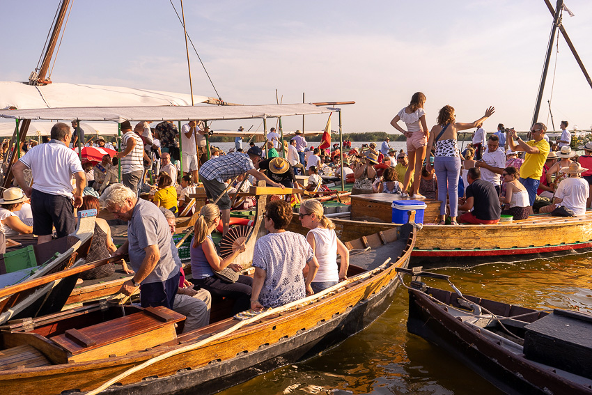 40 Romeria del Cristo de la Salud El Palmar 2018 DSC02234