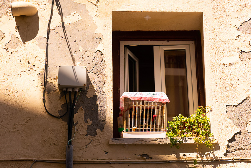 Χαίρετε Crete - Πώς είσαι Chania? 7 05 Old Town Chania DSC03501