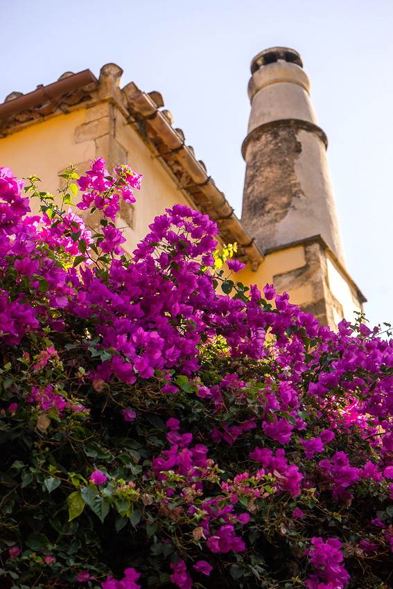 Χαίρετε Crete - Πώς είσαι Chania? 22 20 Old Town Chania DSC04116