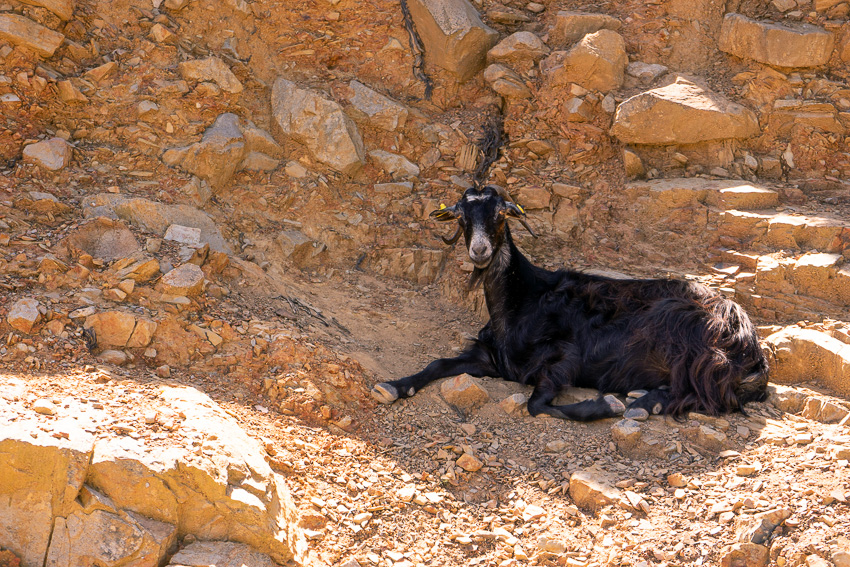 47 Second Day Road Trip Crete DSC04068