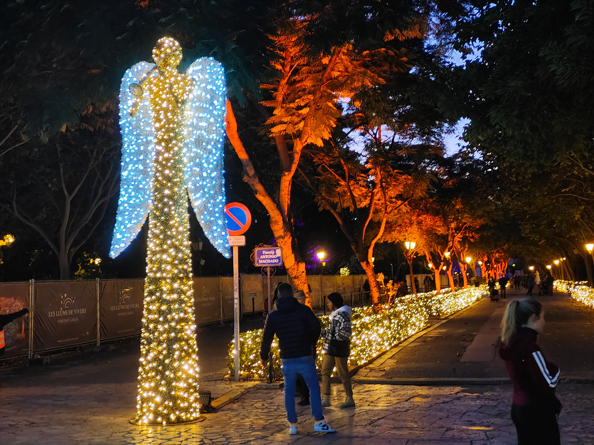 Valencia Christmas Garden photo
