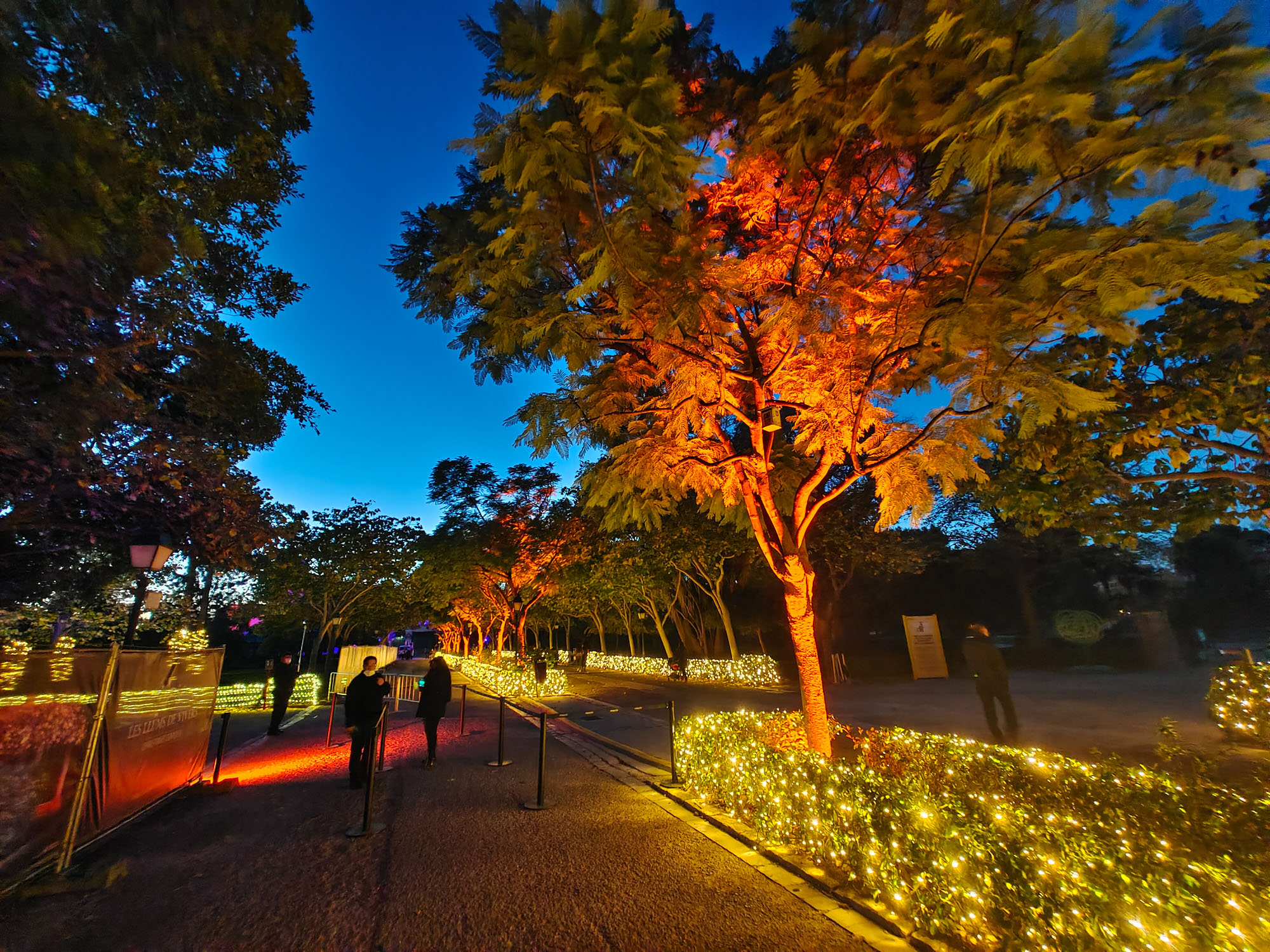 Valencia Christmas Garden photo