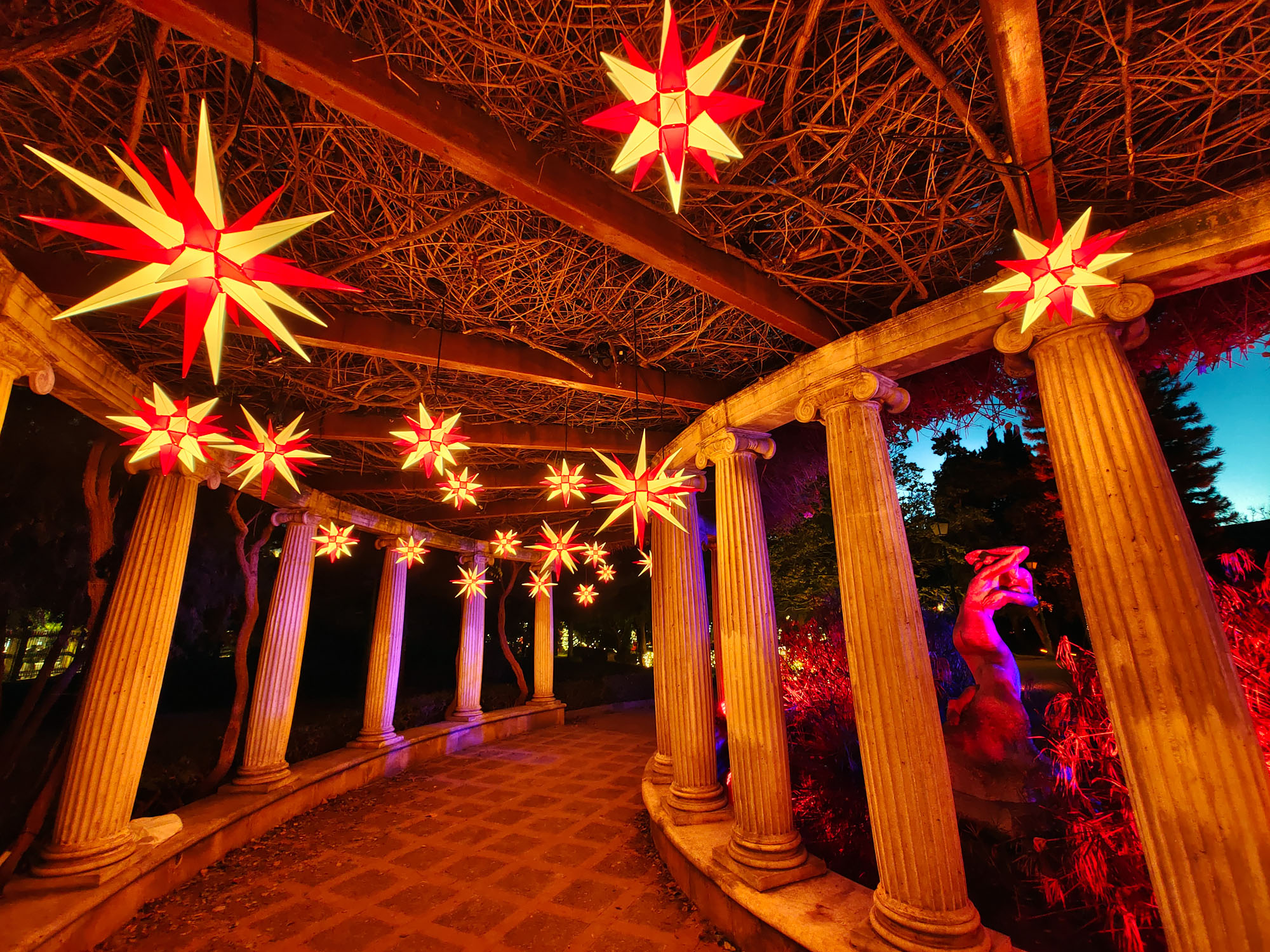 Valencia Christmas Garden photo