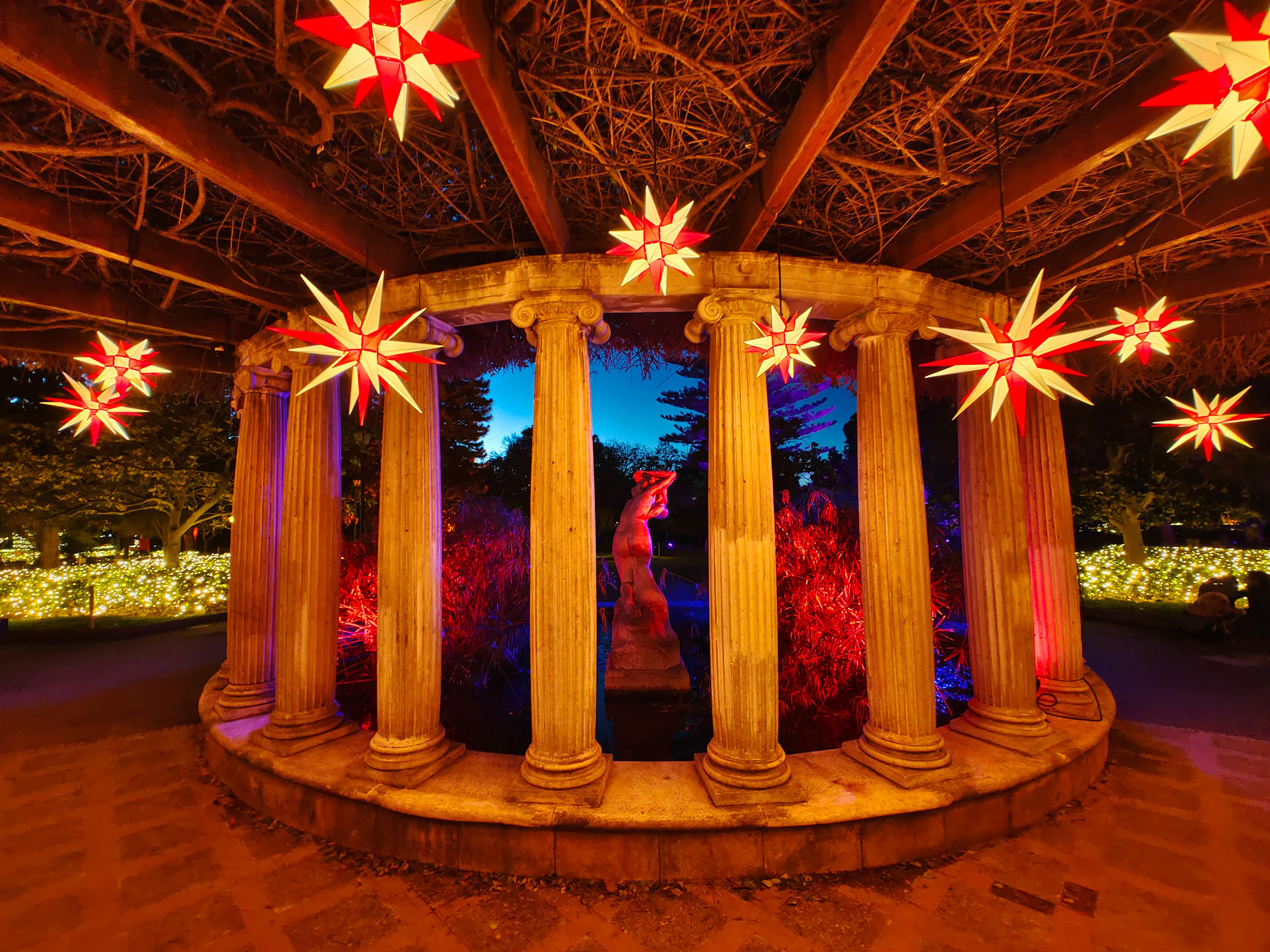 Valencia Christmas Garden photo