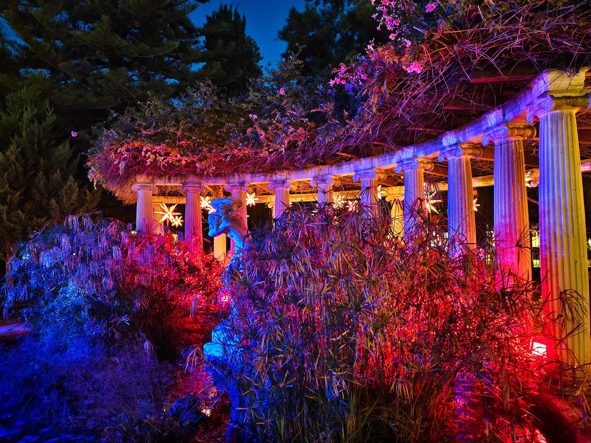 Valencia Christmas Garden photo