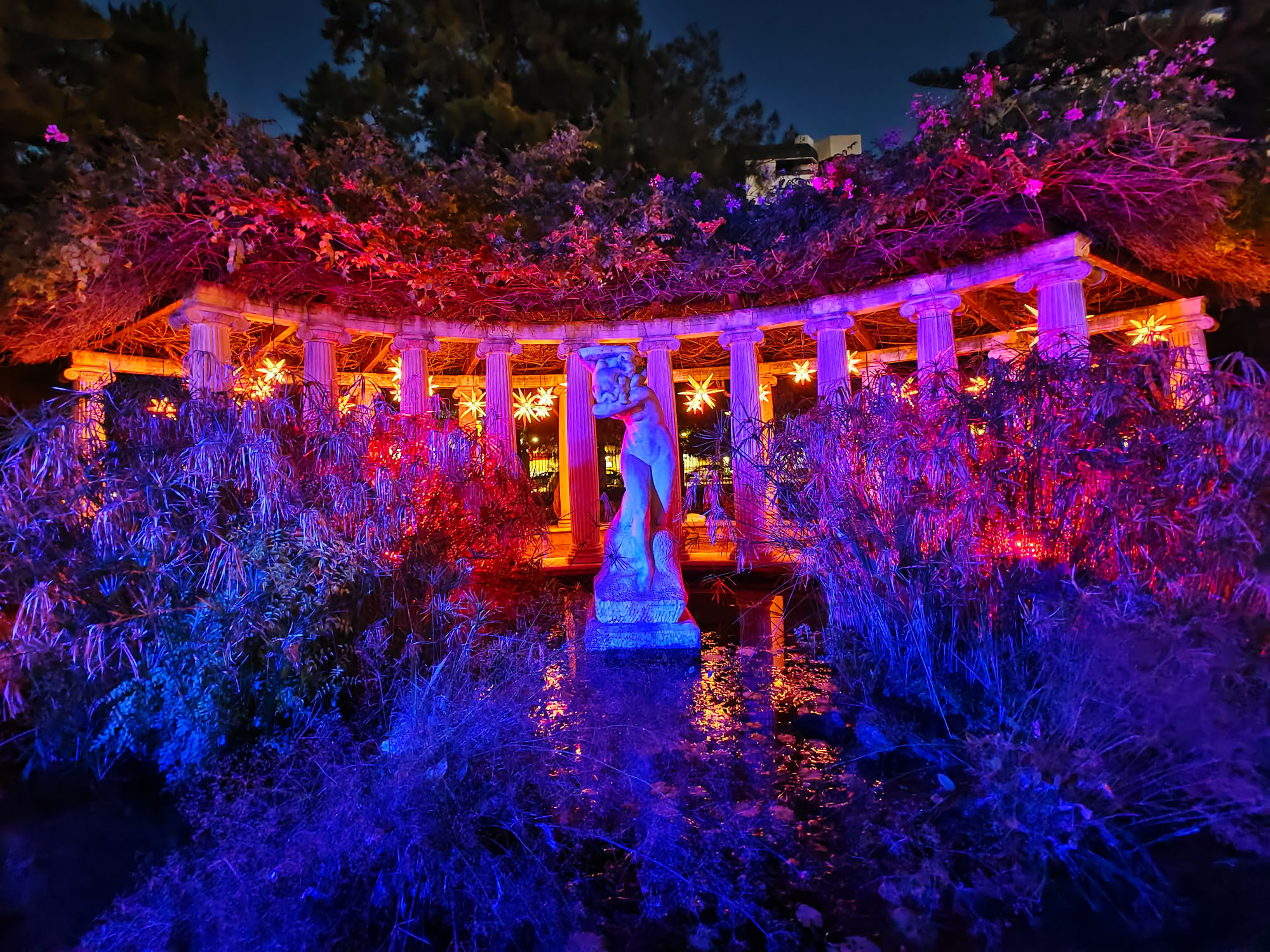 Valencia Christmas Garden photo