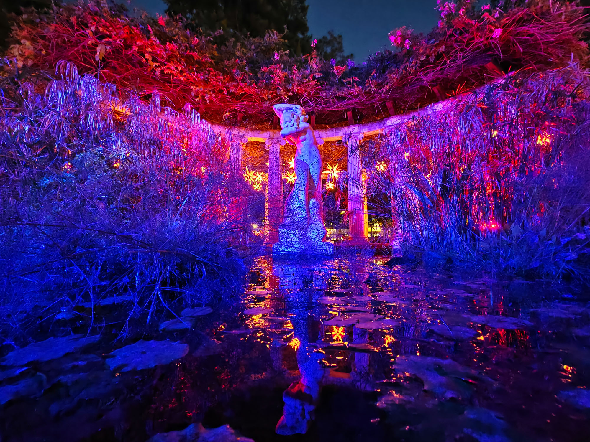 Valencia Christmas Garden photo