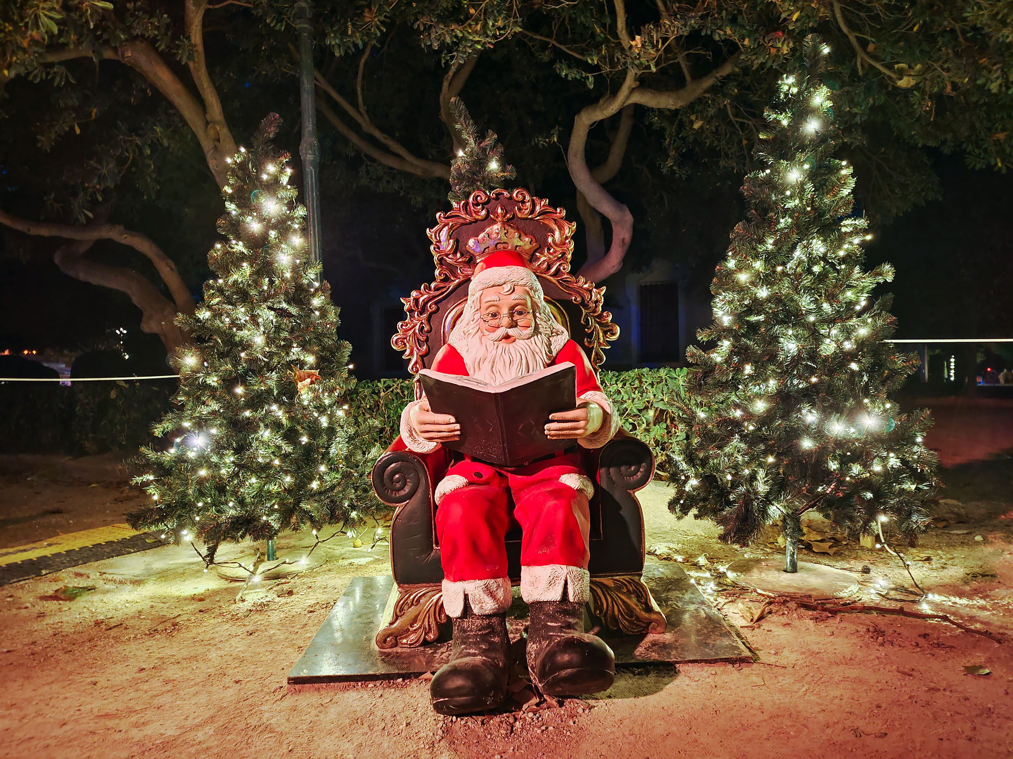 Valencia Christmas Garden photo