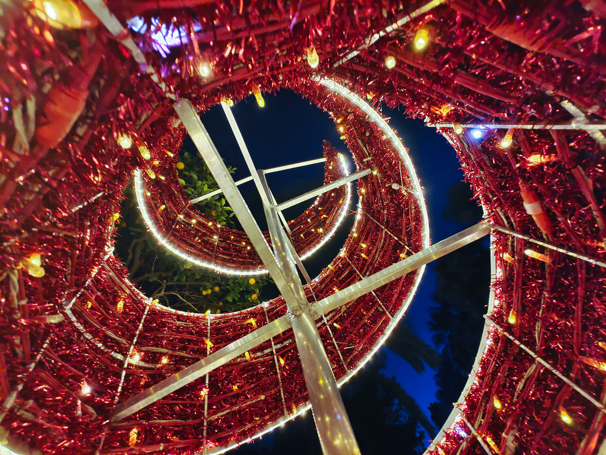 Valencia Christmas Garden photo