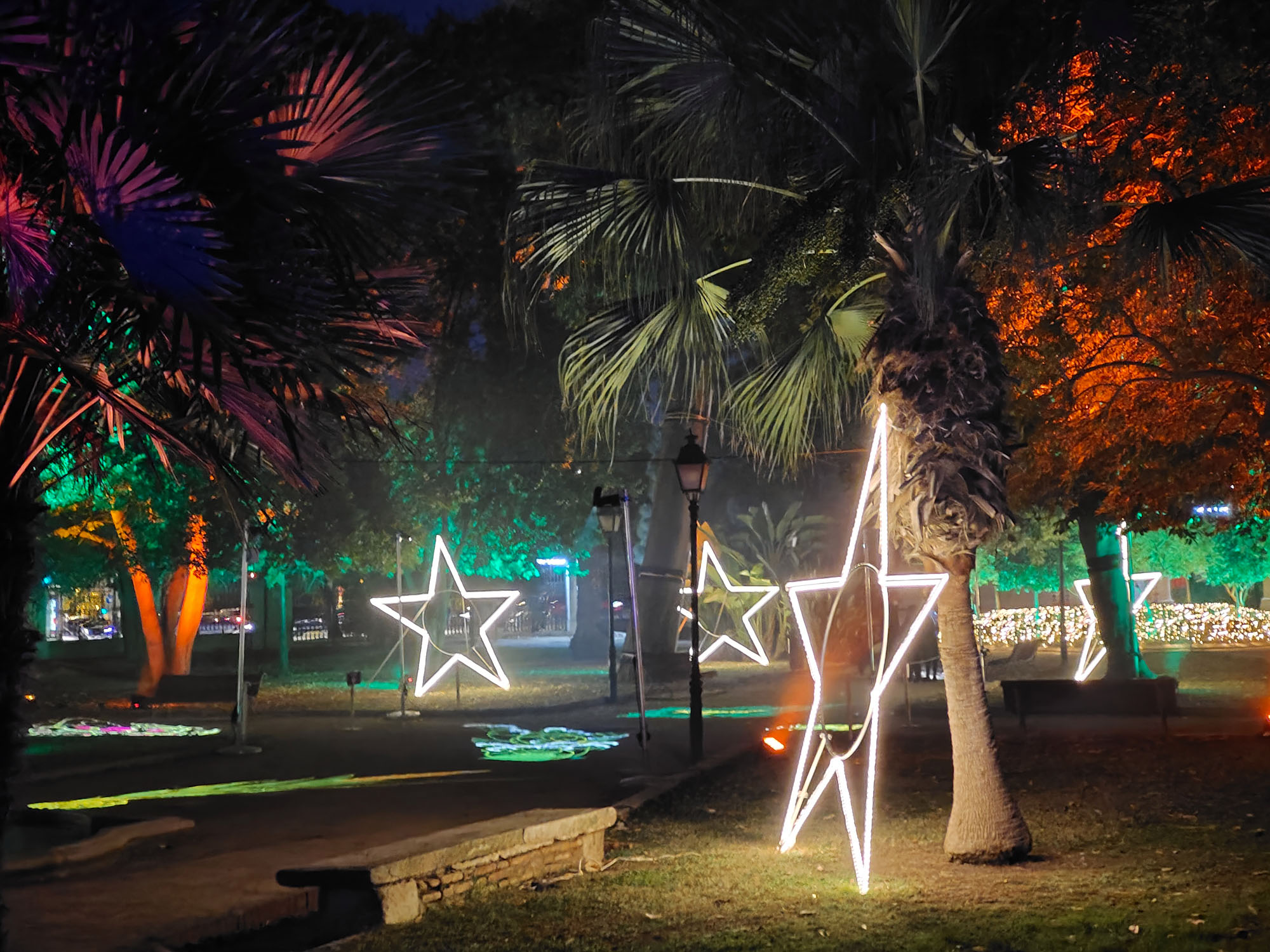 Valencia Christmas Garden photo