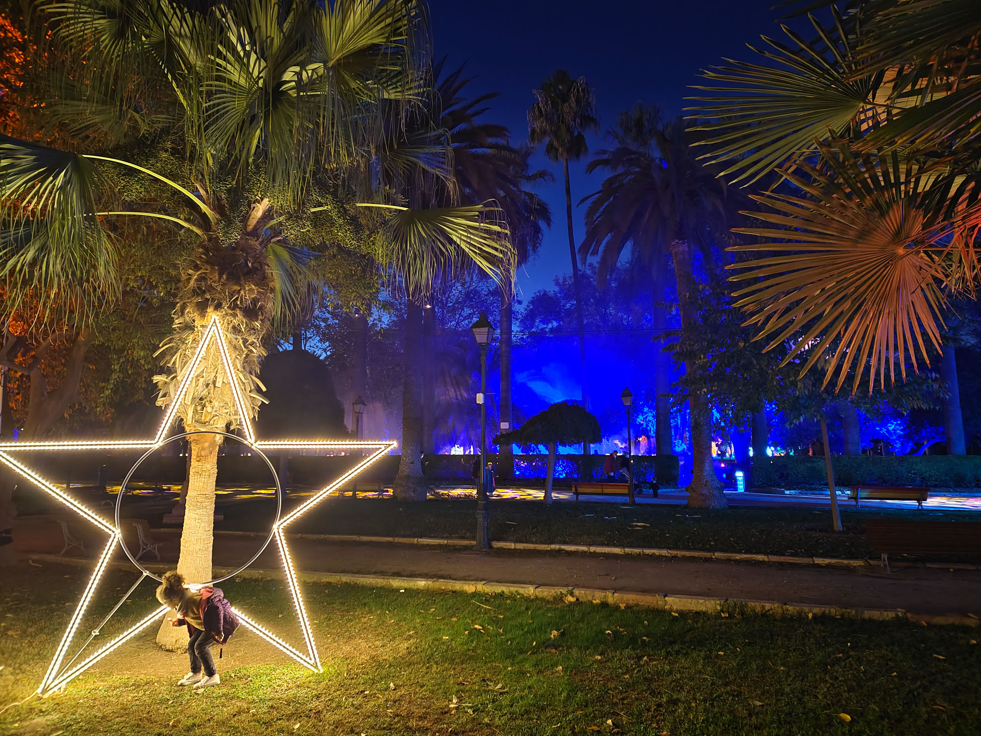 Valencia Christmas Garden photo