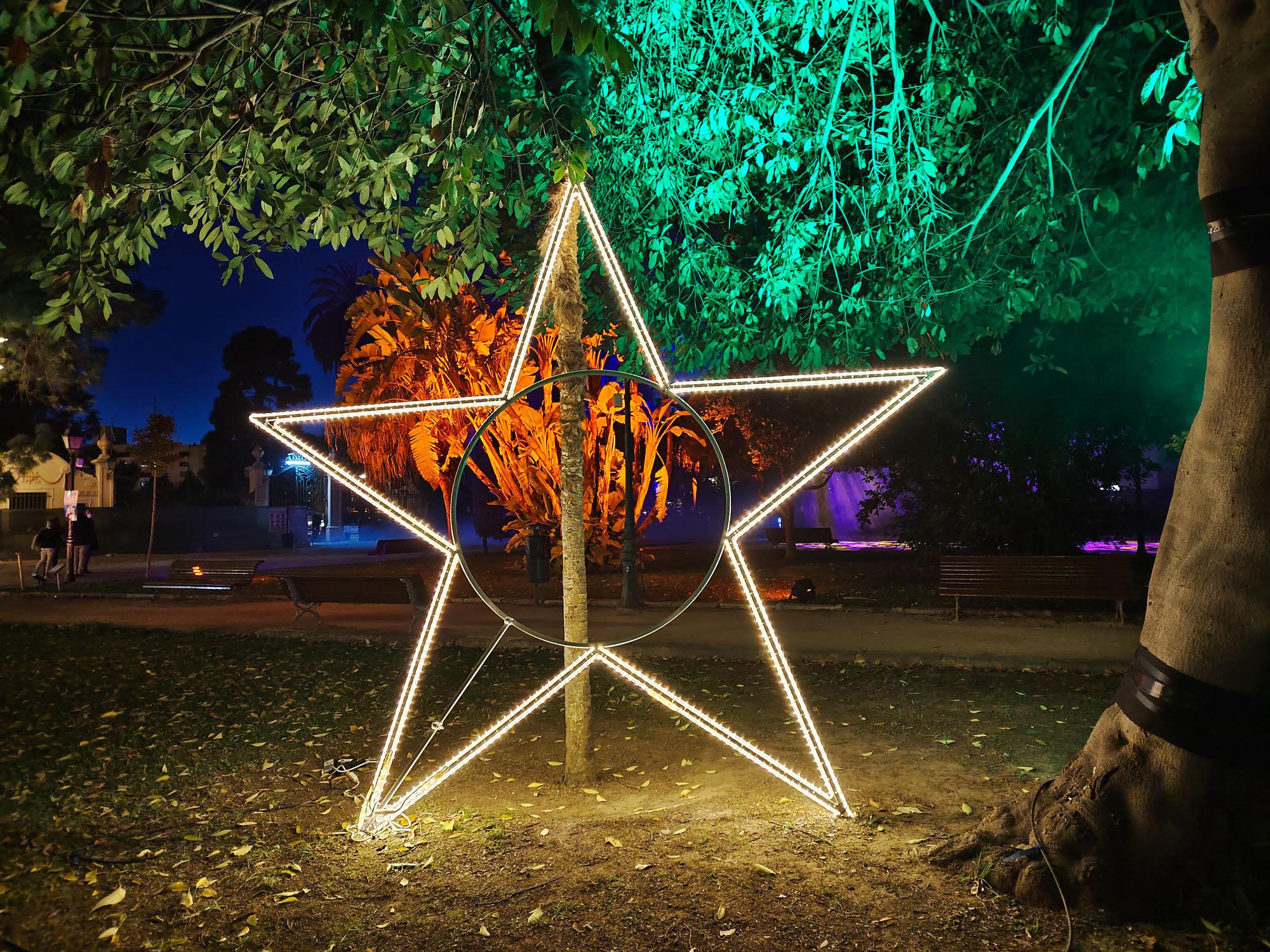 Valencia Christmas Garden photo