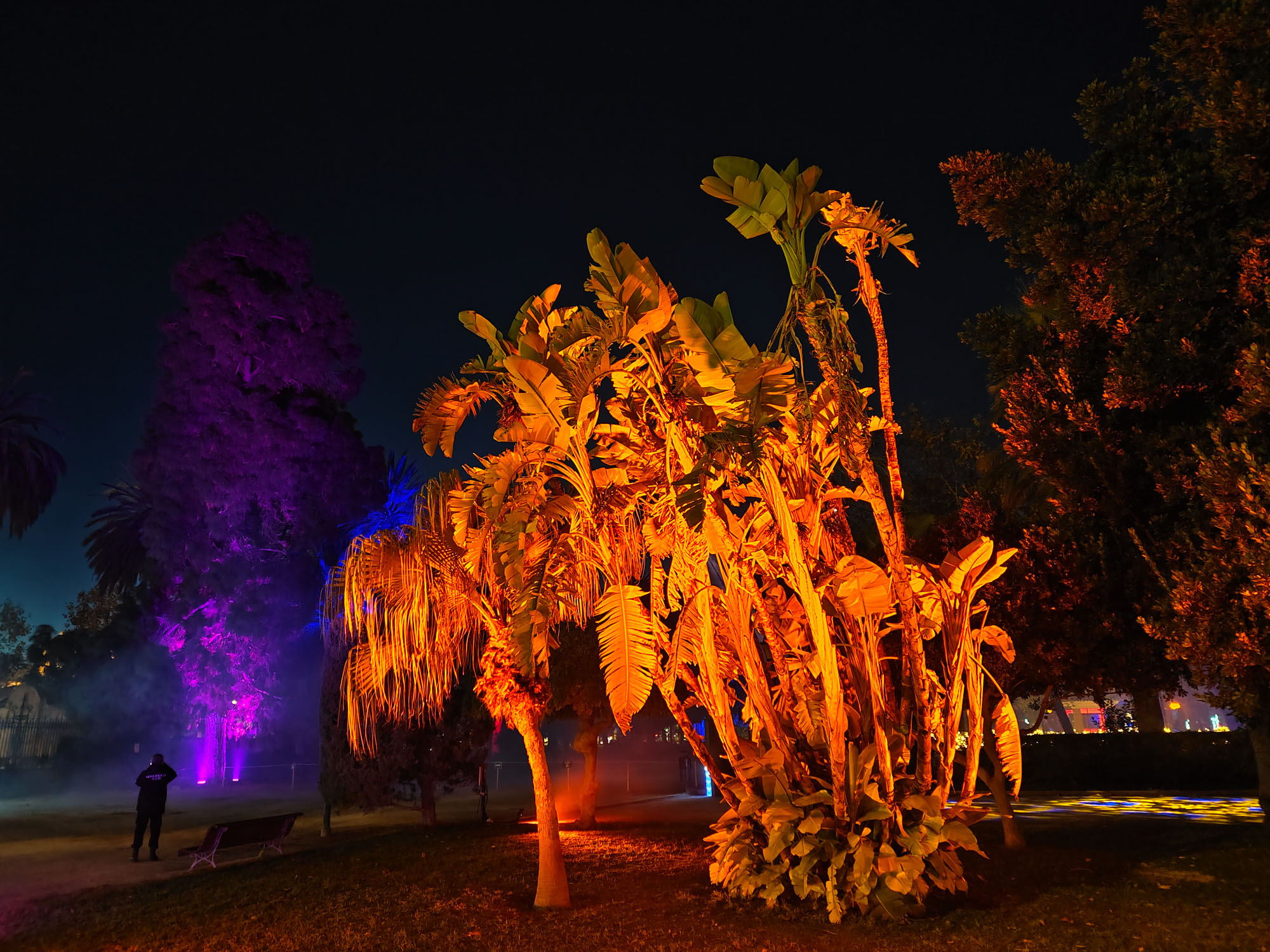 Valencia Christmas Garden photo
