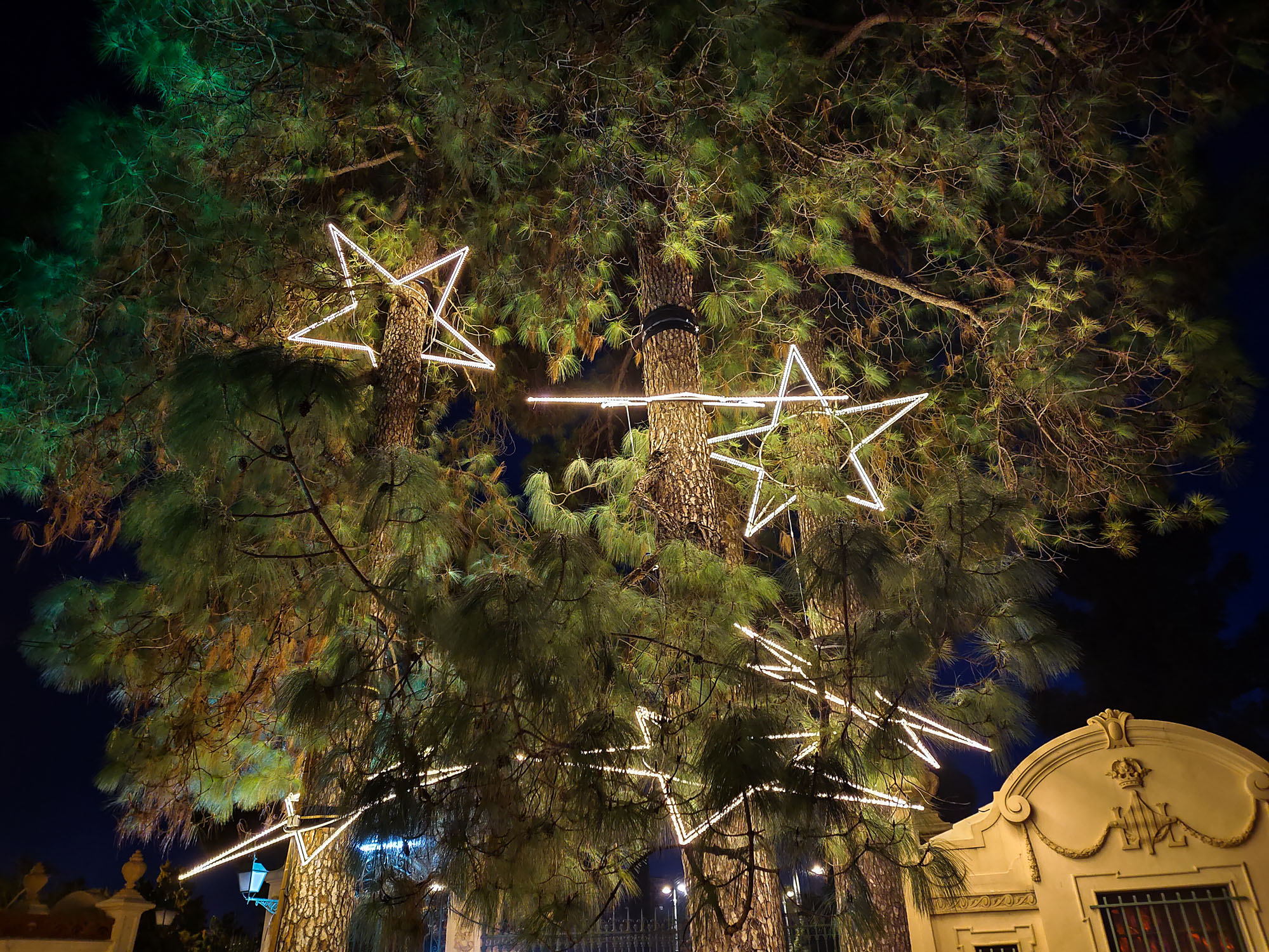 Valencia Christmas Garden photo