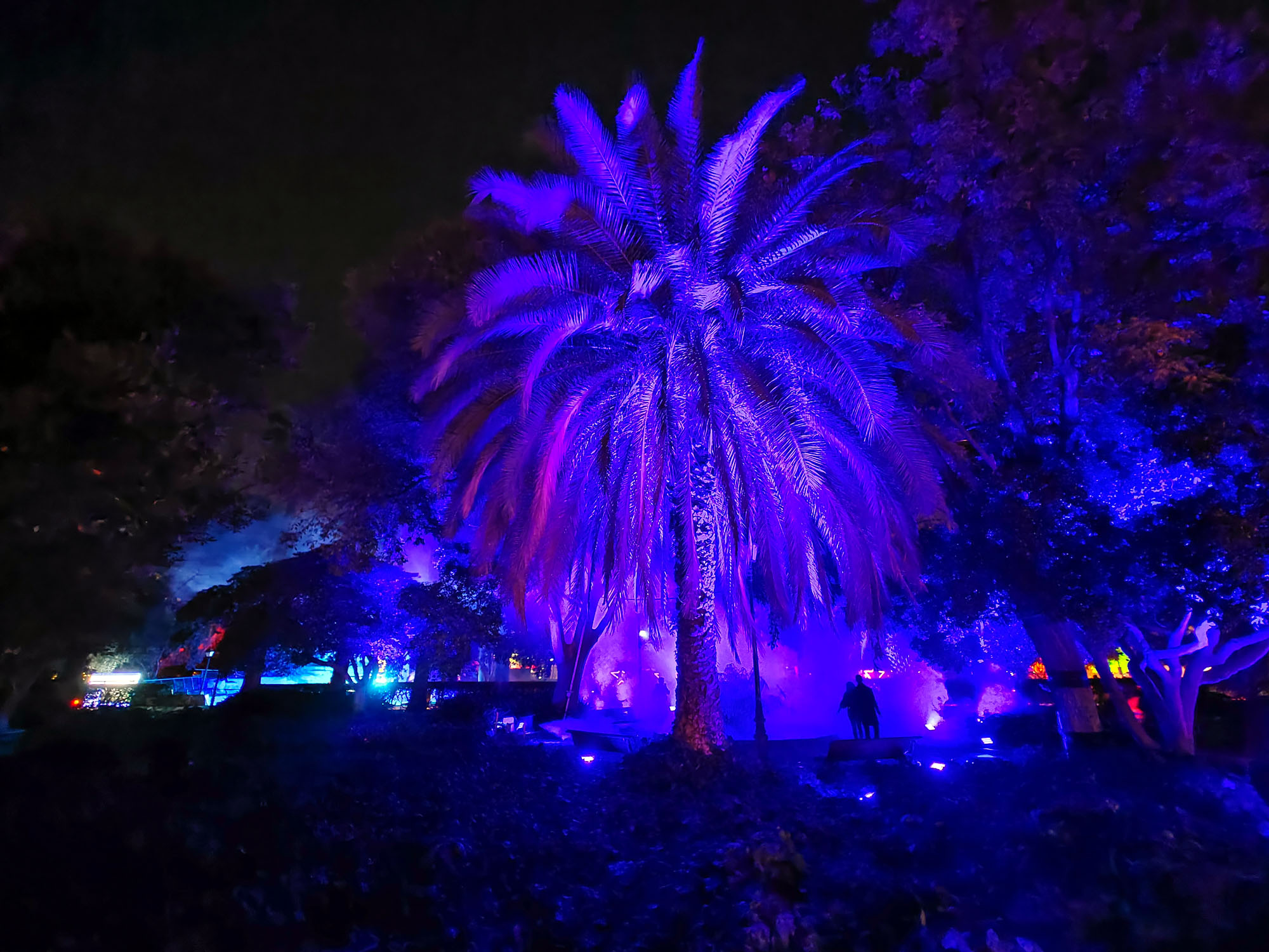 Valencia Christmas Garden photo