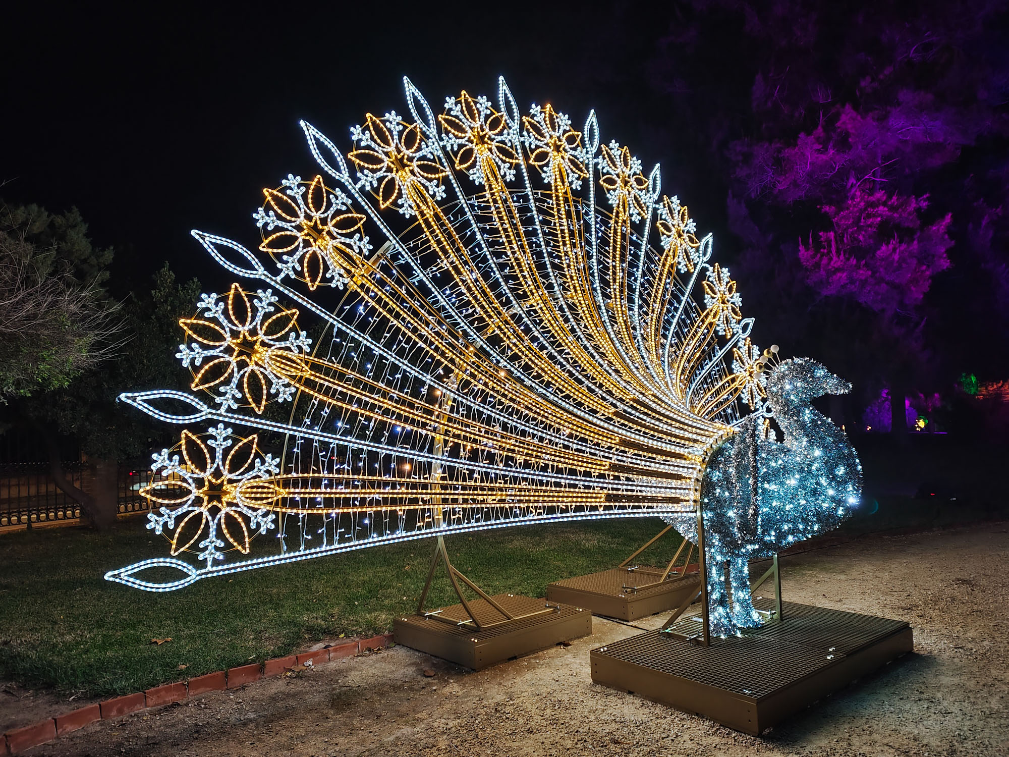 Valencia Christmas Garden photo