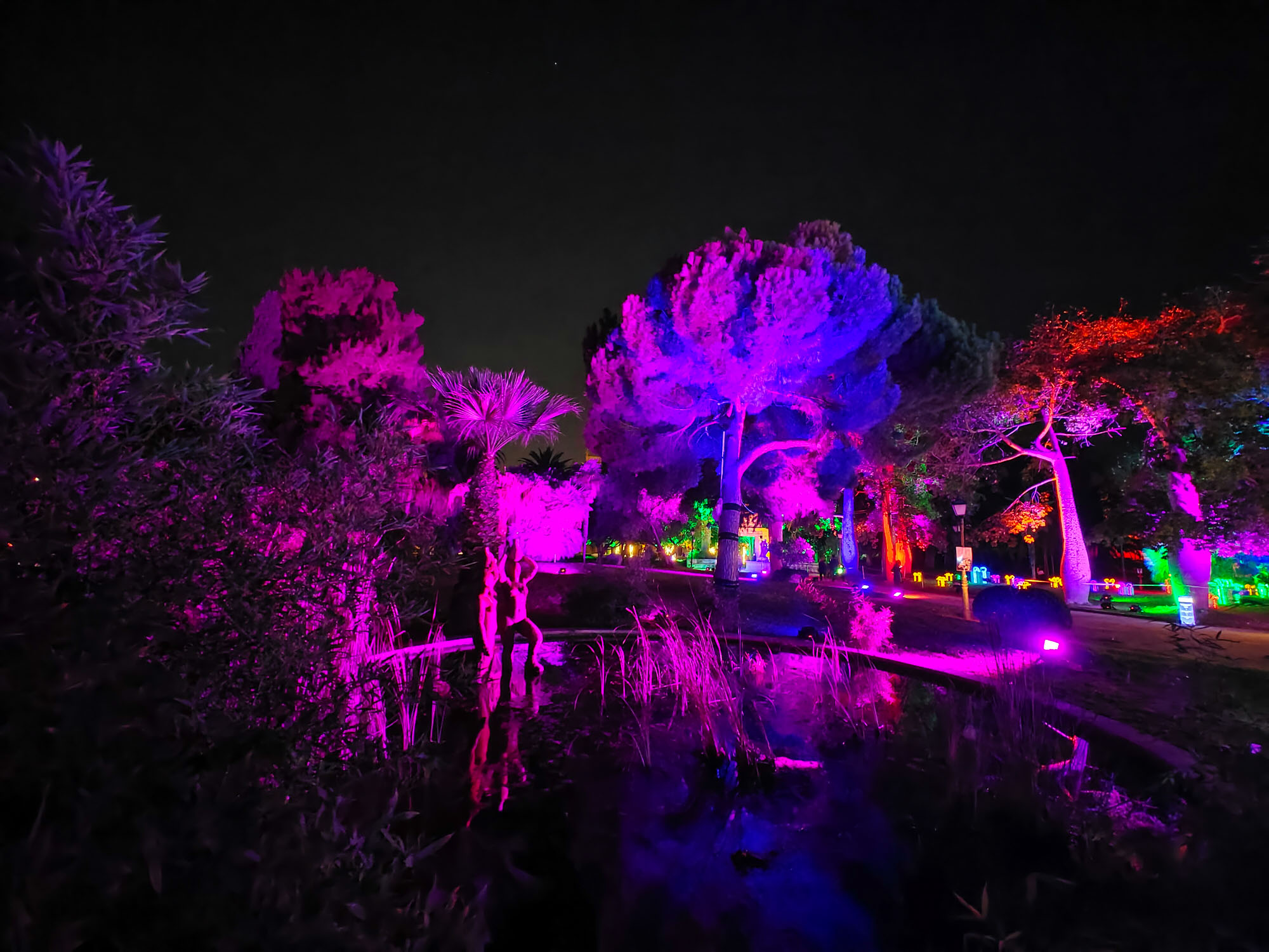 Valencia Christmas Garden photo