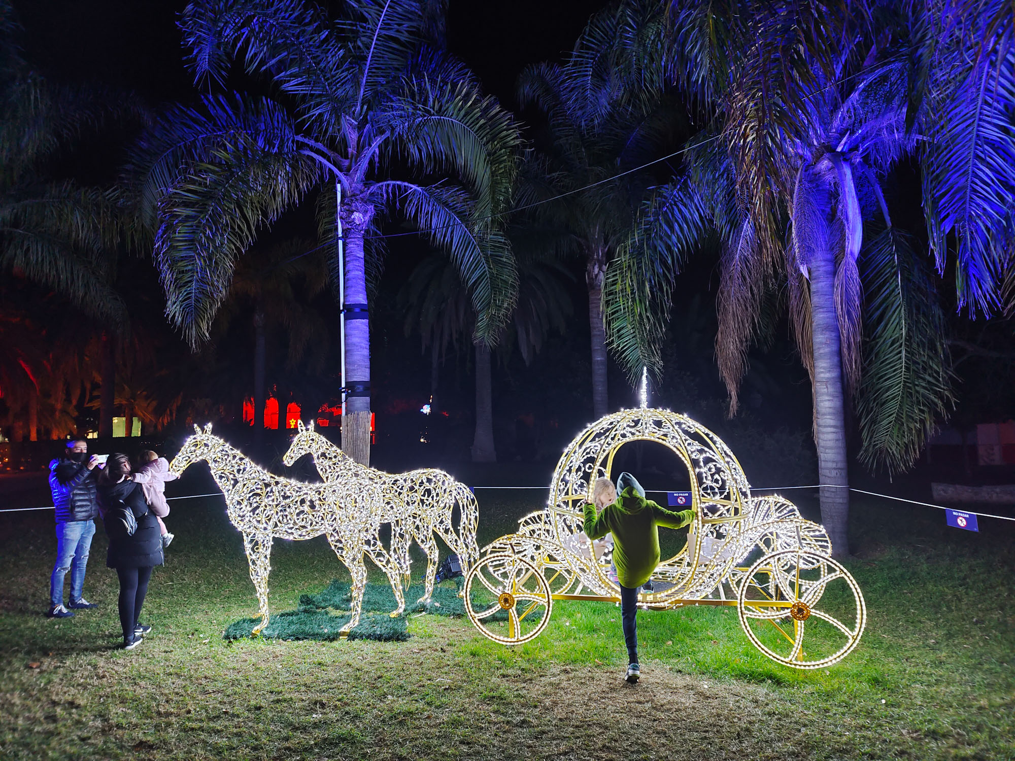Valencia Christmas Garden photo
