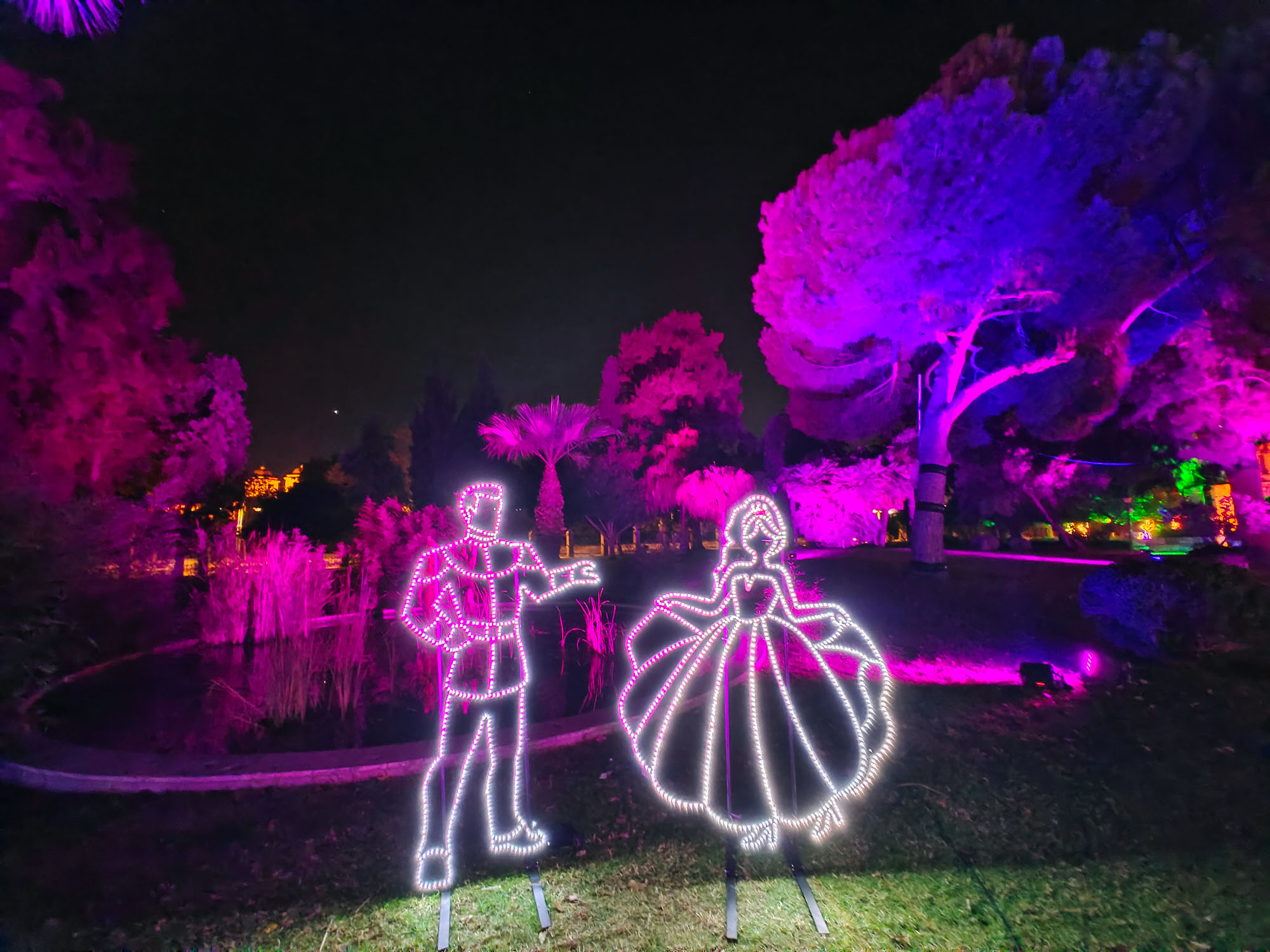 Valencia Christmas Garden photo