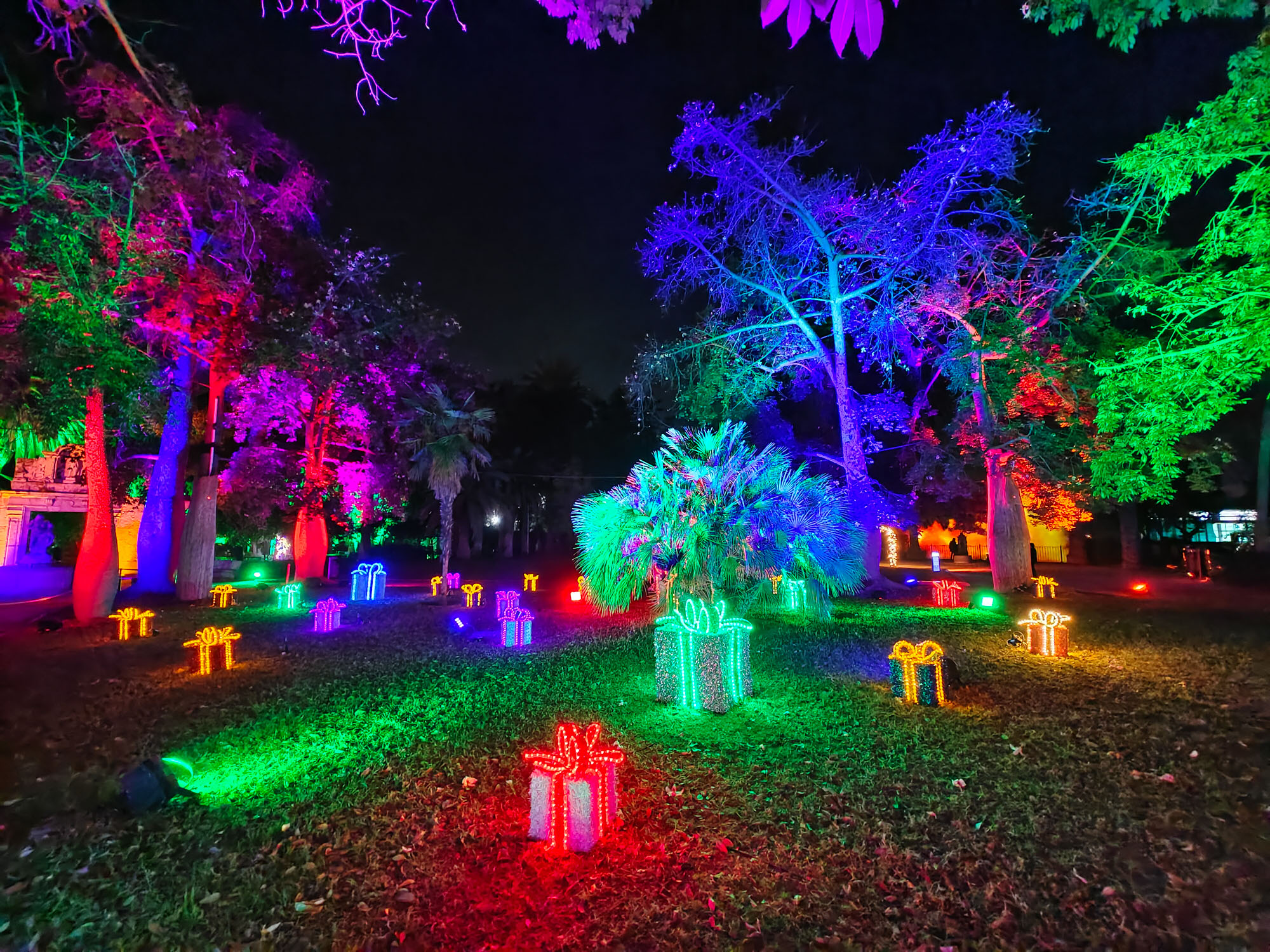 Valencia Christmas Garden photo