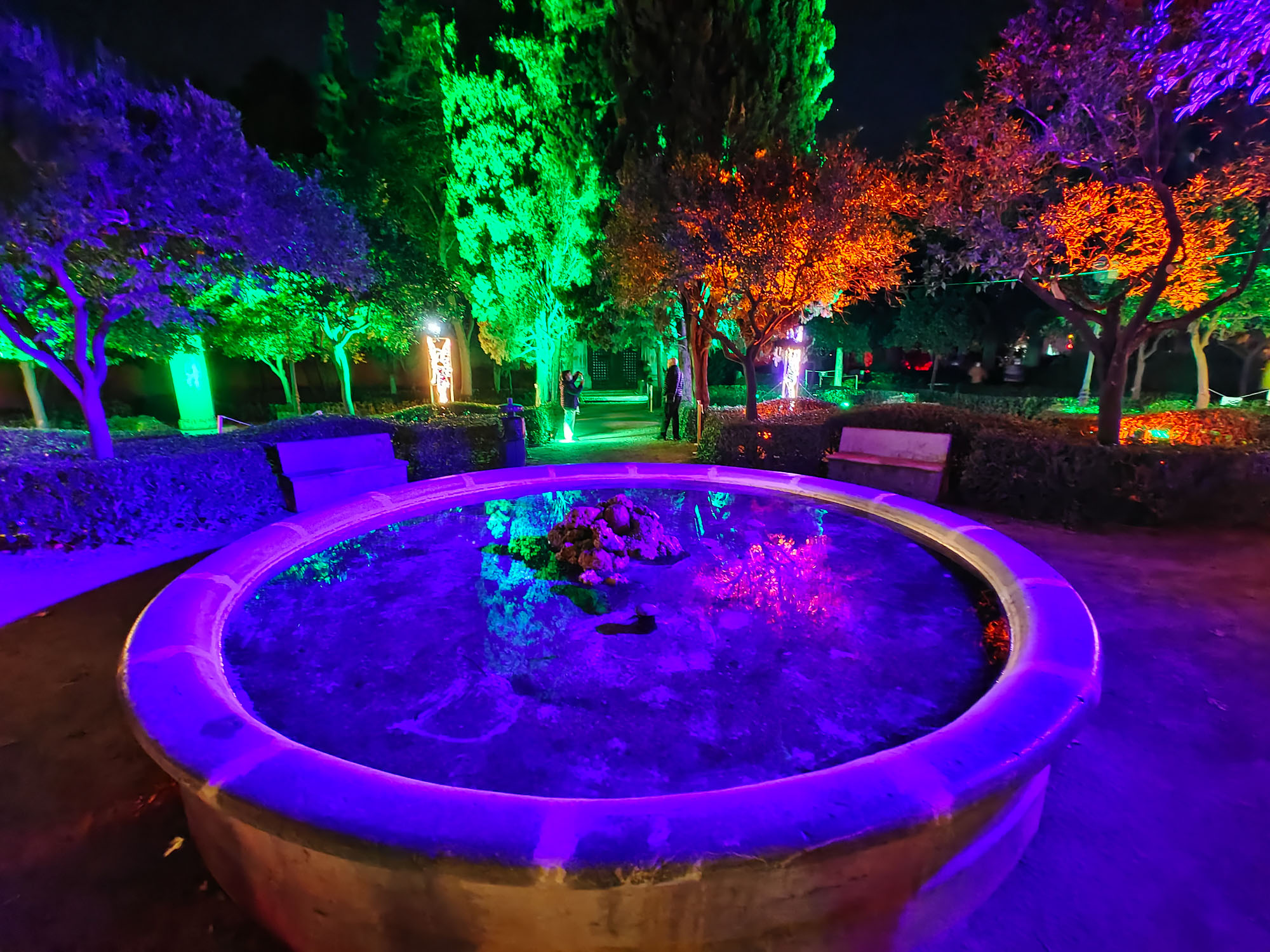 Valencia Christmas Garden photo