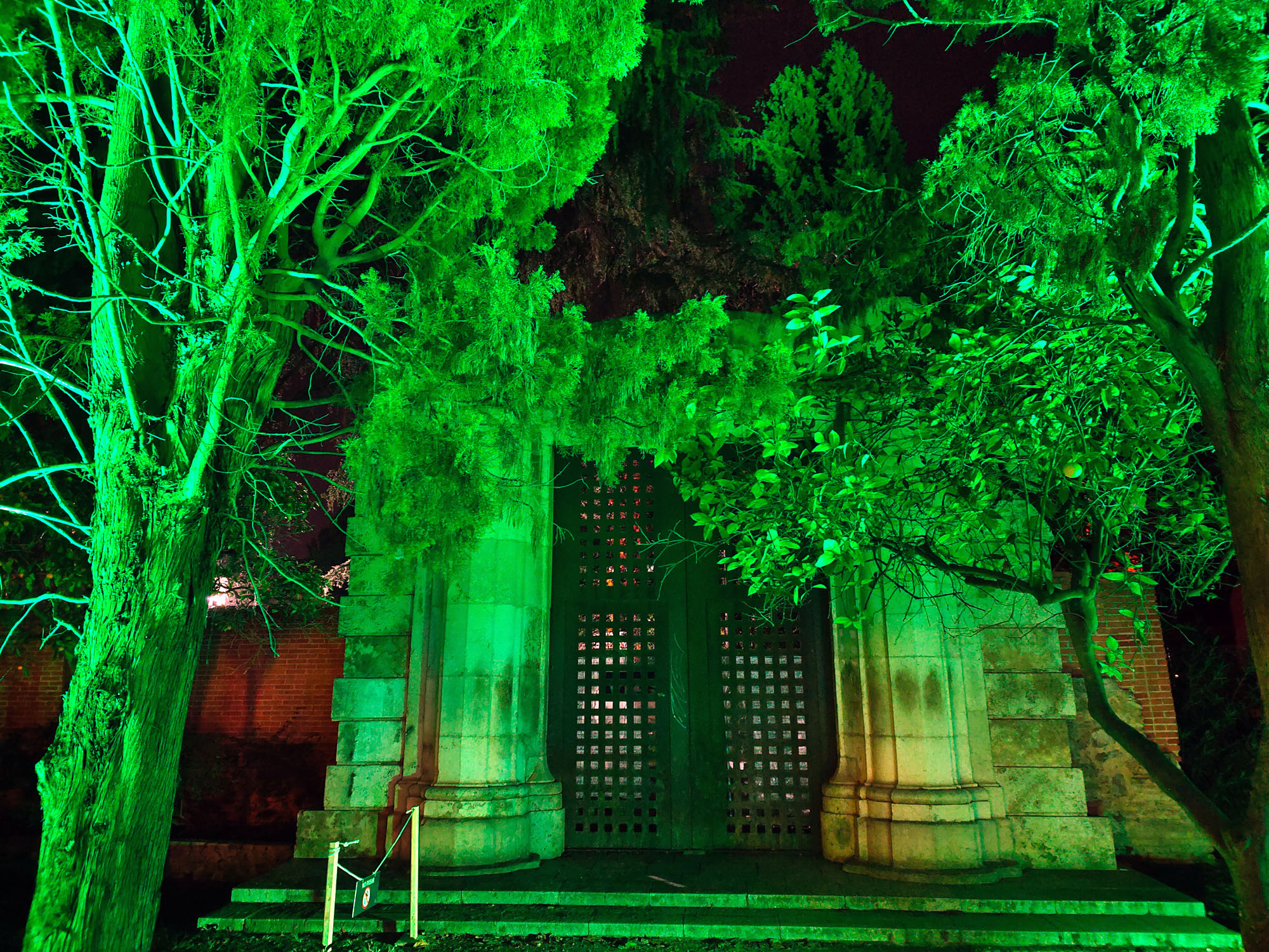 Valencia Christmas Garden photo