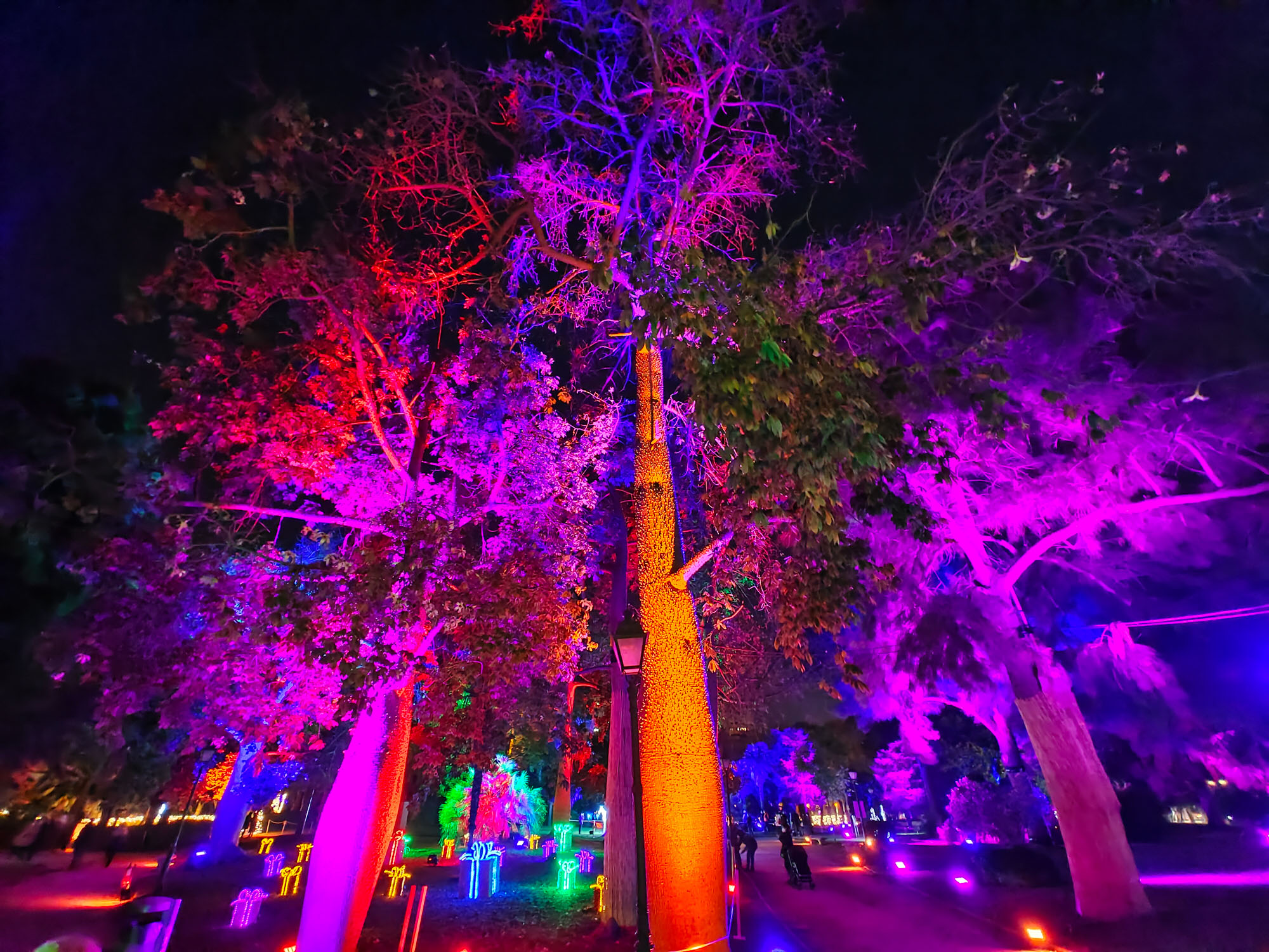 Valencia Christmas Garden photo