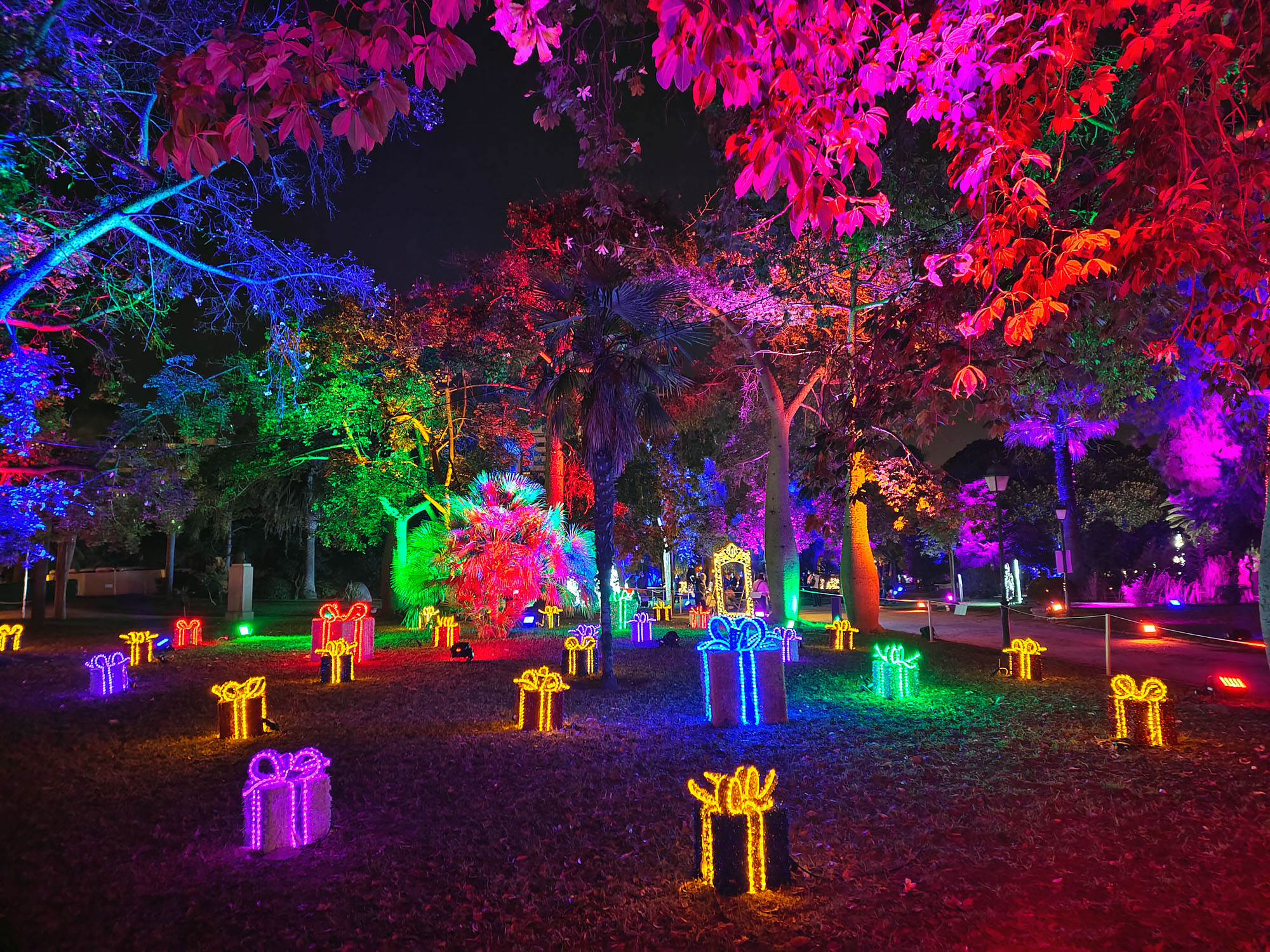 Valencia Christmas Garden photo