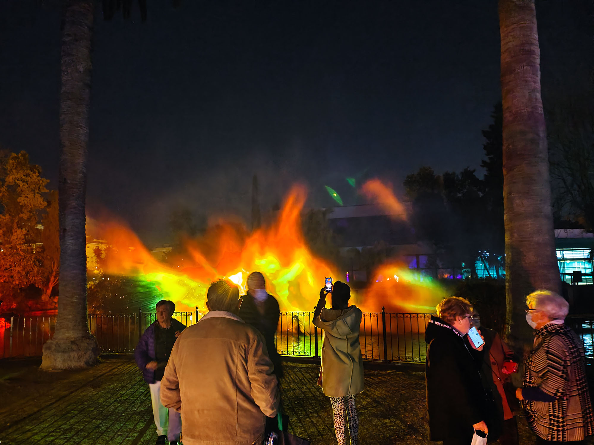 Valencia Christmas Garden photo