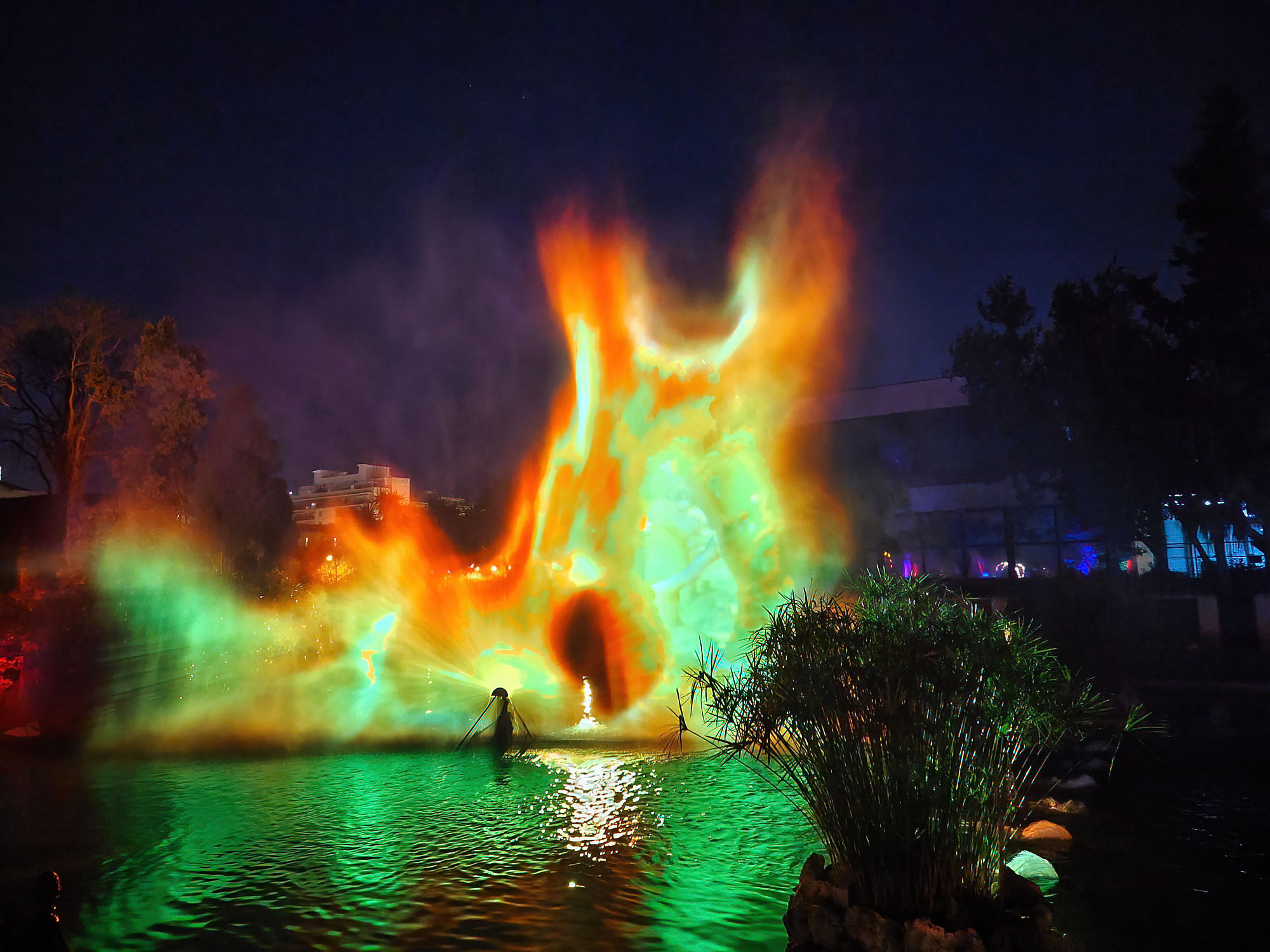 Valencia Christmas Garden photo