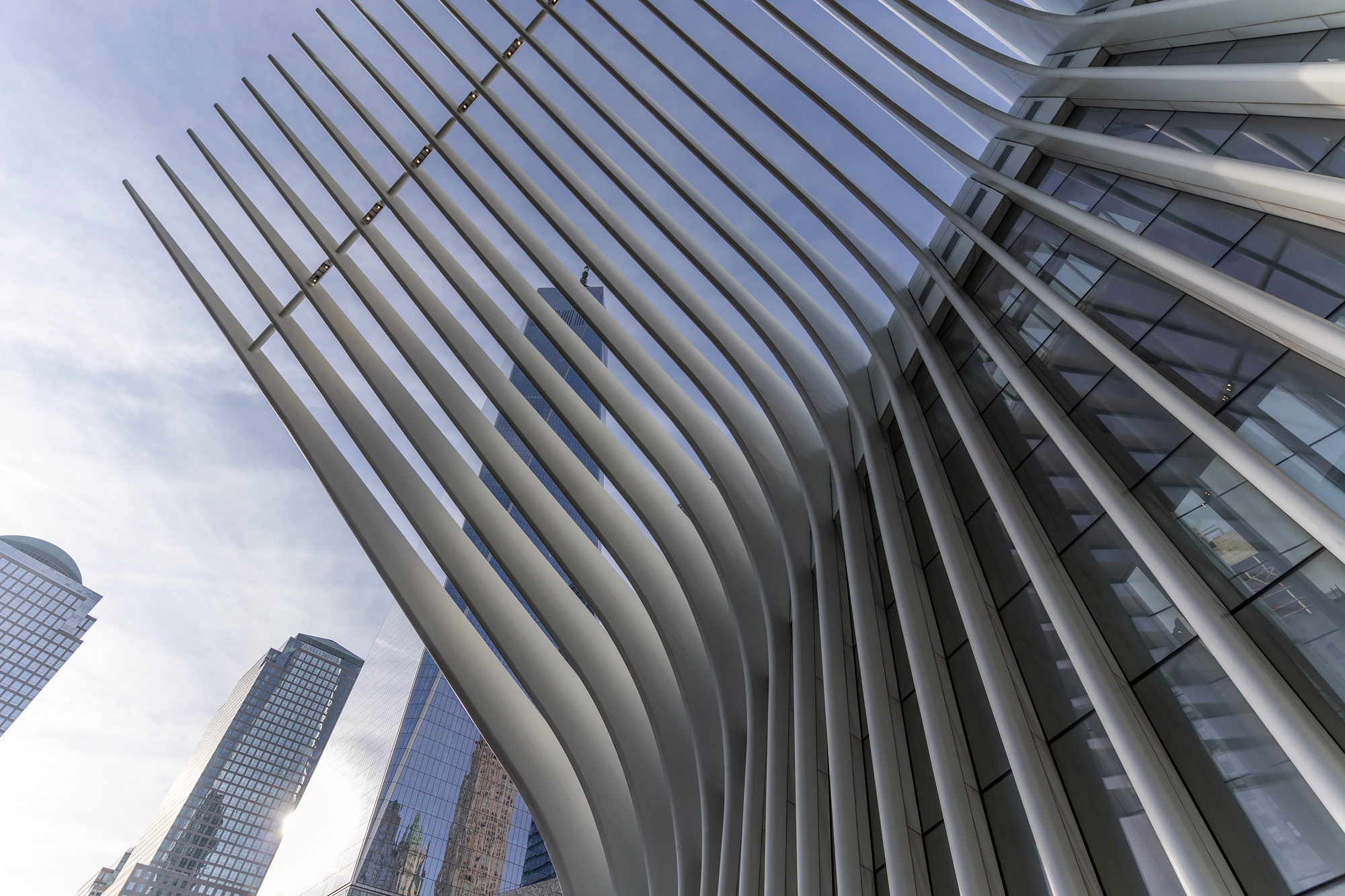 Calatrava's World Trade Center Transportation Hub (PATH) Station 3 02 Calatrava World Trade Center Transportation Hub DSC09833