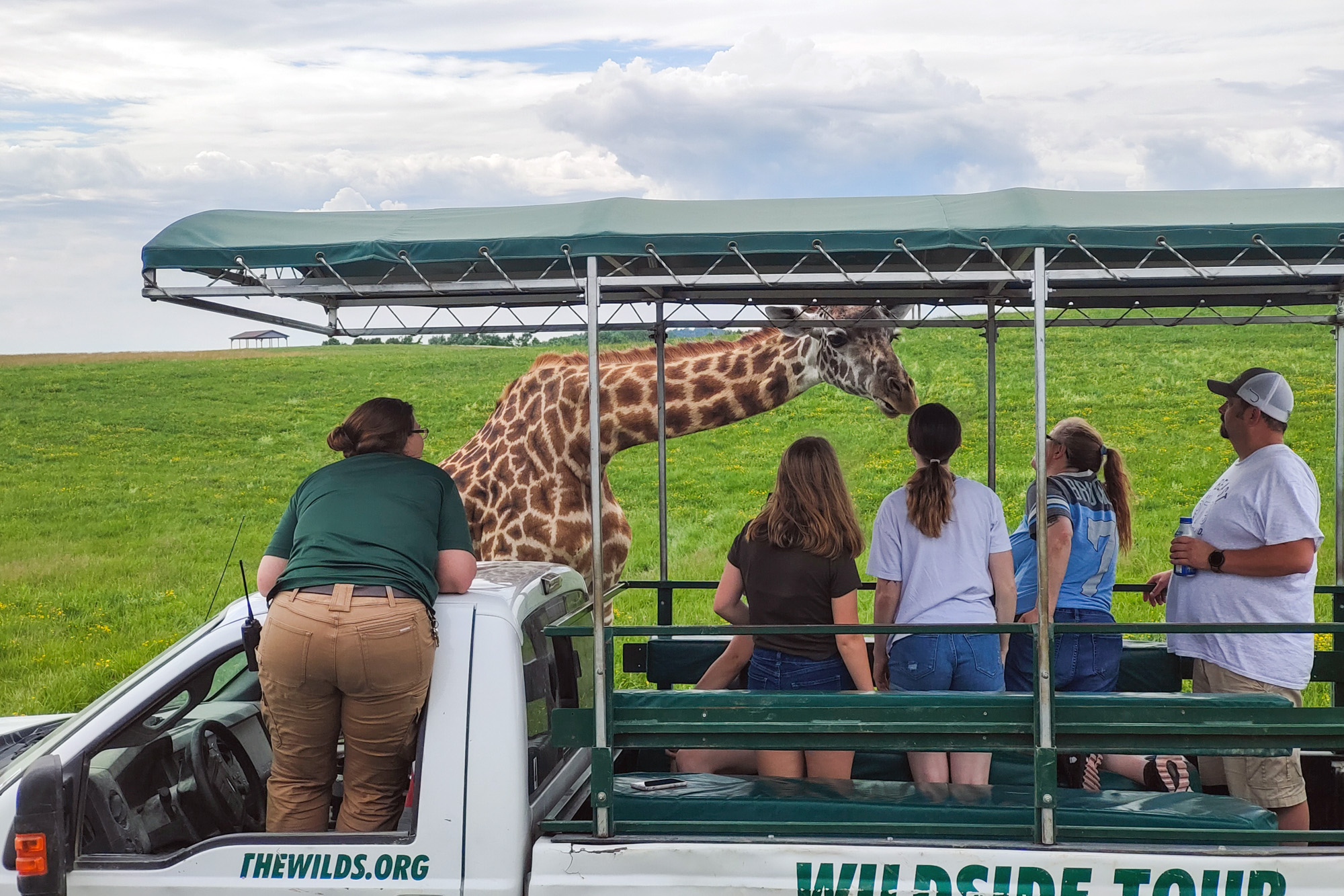 The Wild Wild Midwest - A Safari in ... Ohio?! 2 The Wilds Giraffe Wildside Tour Ohio