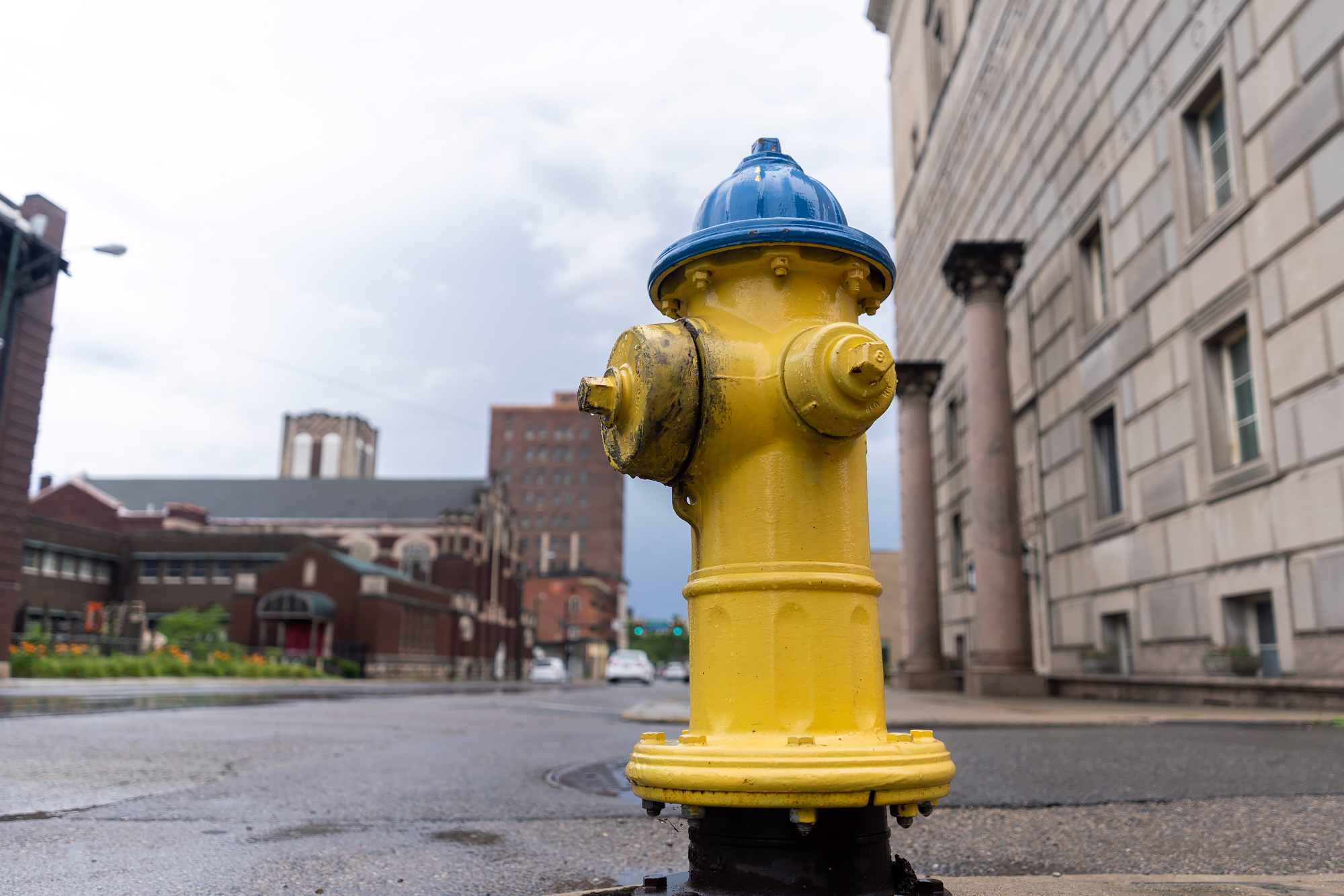 A Picturesque Daytime Walk through Springfield, Ohio 4 Yellow and blue fire hydrant Springfield Ohio