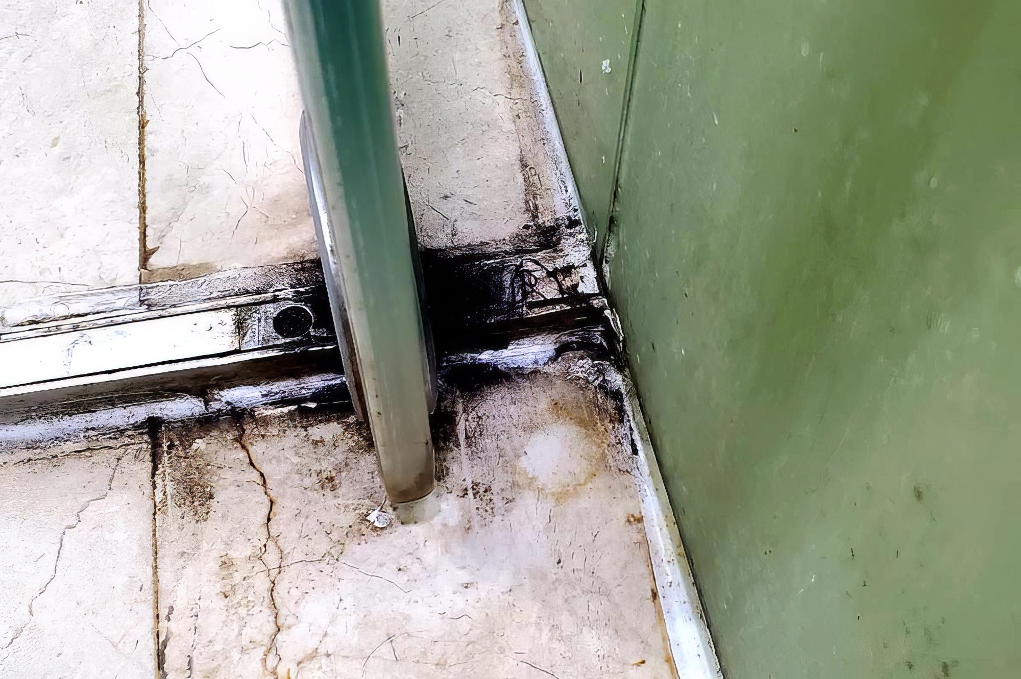 An Apartment Booking Scam in Kuala Lumpur 6 Black Fungus Gross Hotel