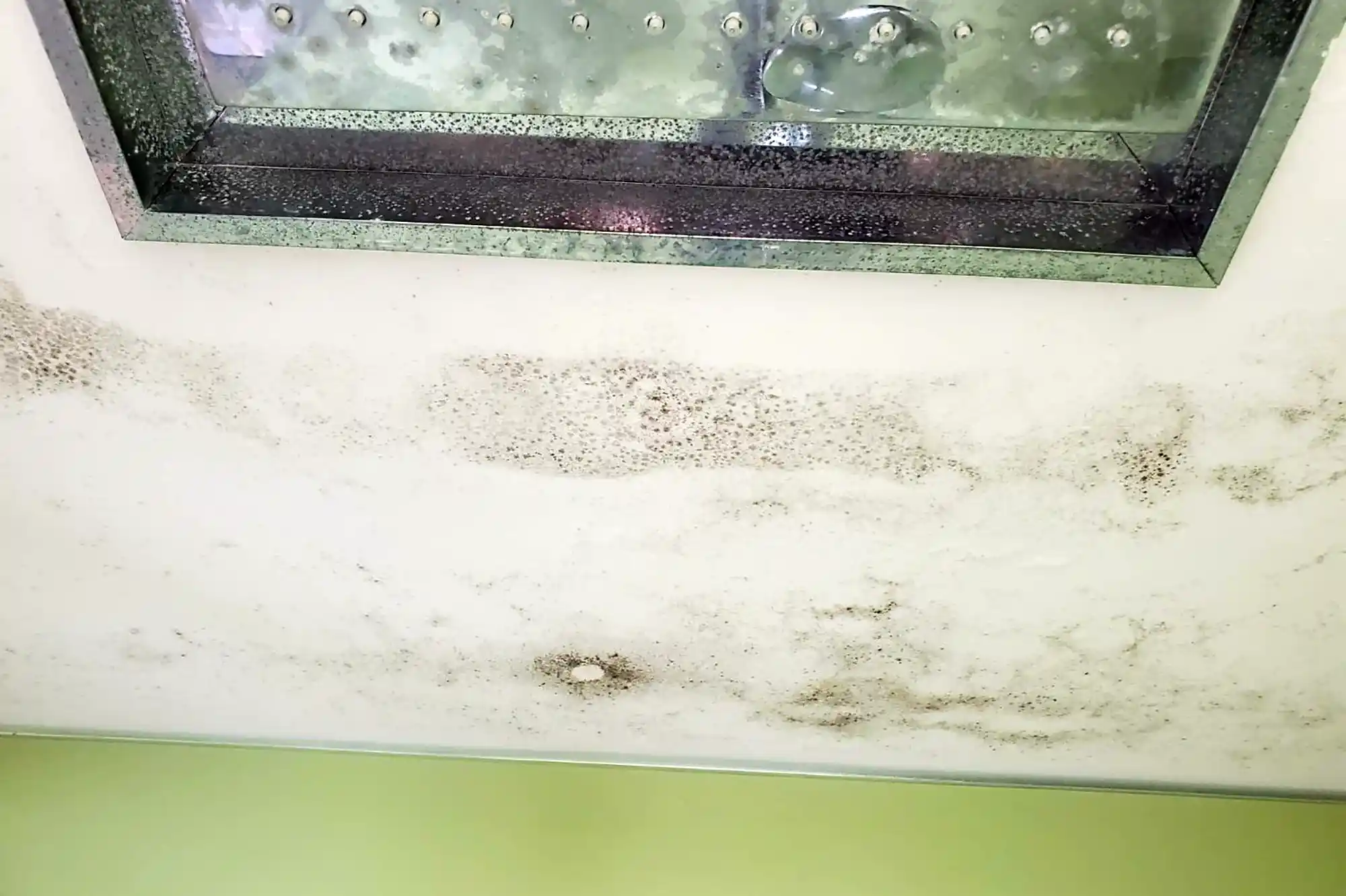 An Apartment Booking Scam in Kuala Lumpur 4 Black Fungus in Hotel