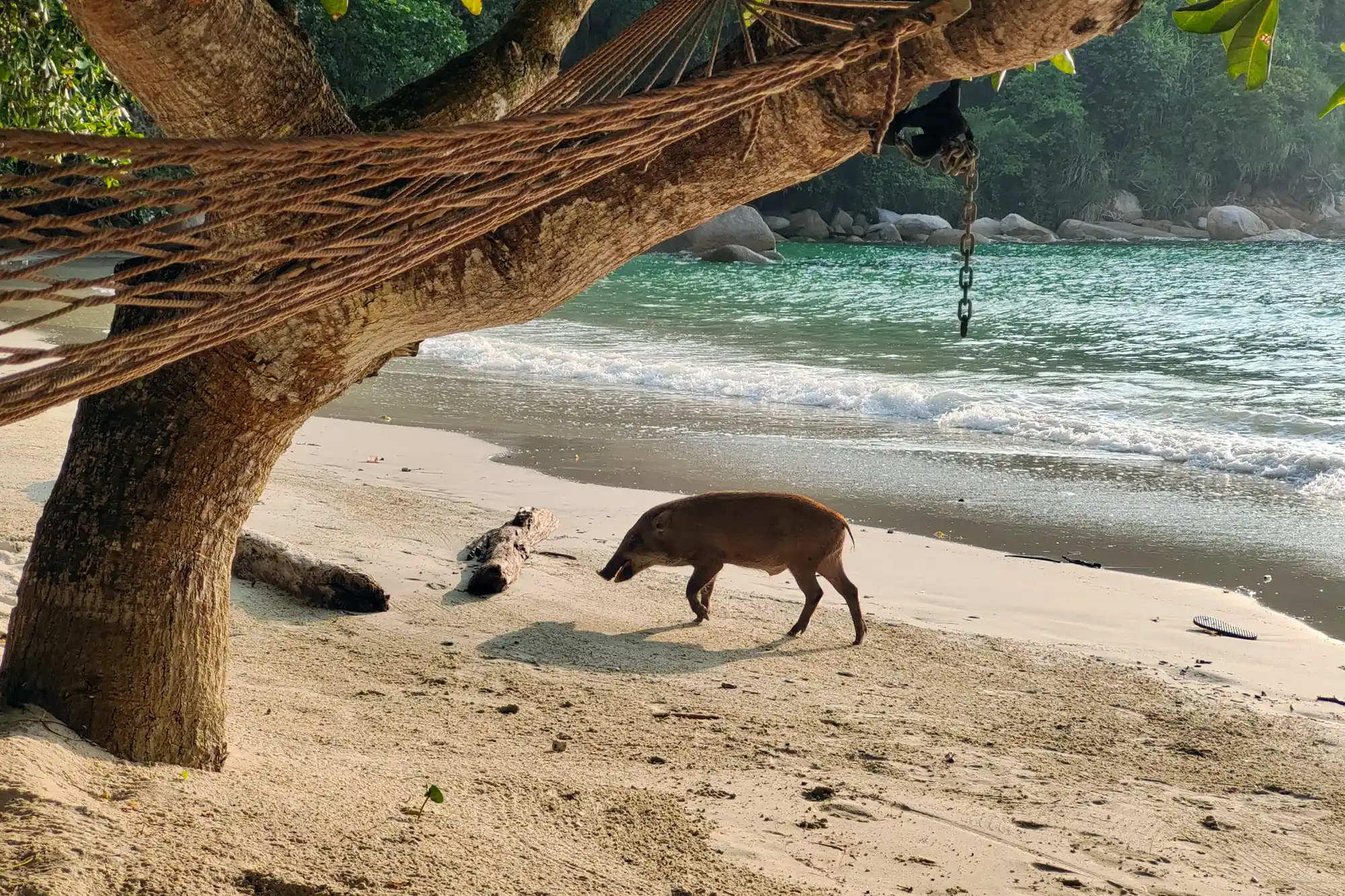 03 First Day Pangkor Laut Resort IMG 20240325 182316 copy
