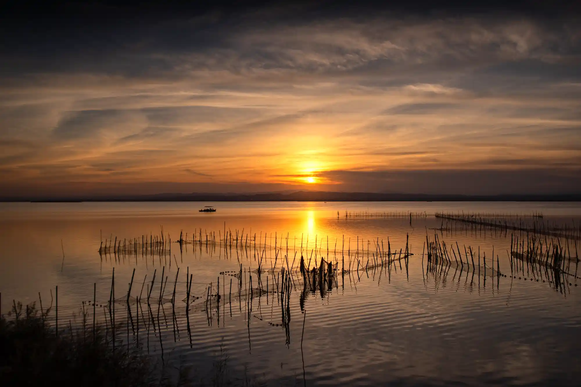Valencia's Best Sunset Spot: Albufera Lake 2 Albufera Lake Sunset