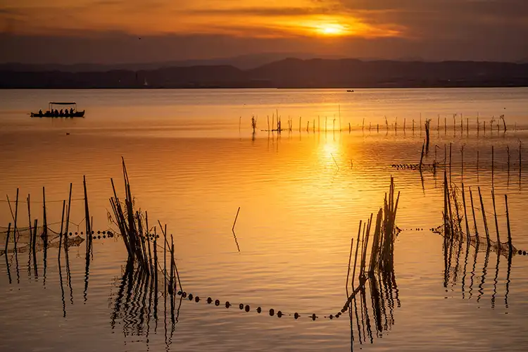 Albufera Sunset