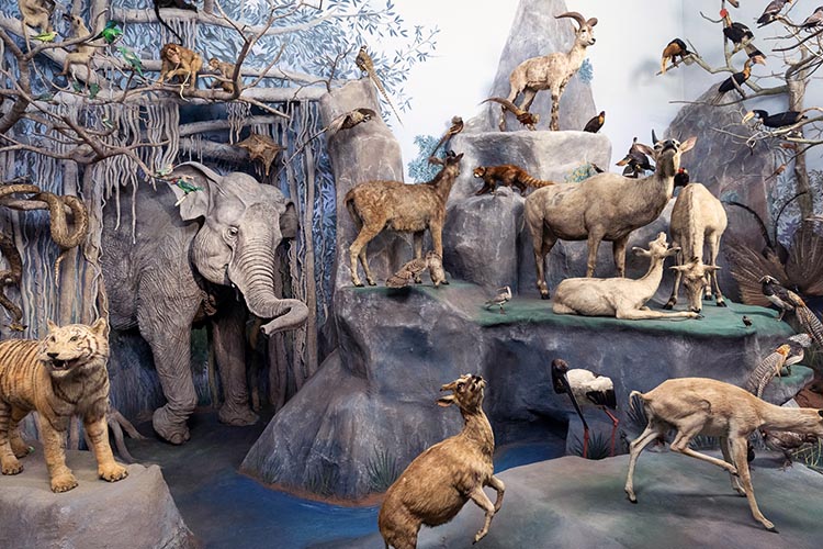 Darmstadt Dioramas