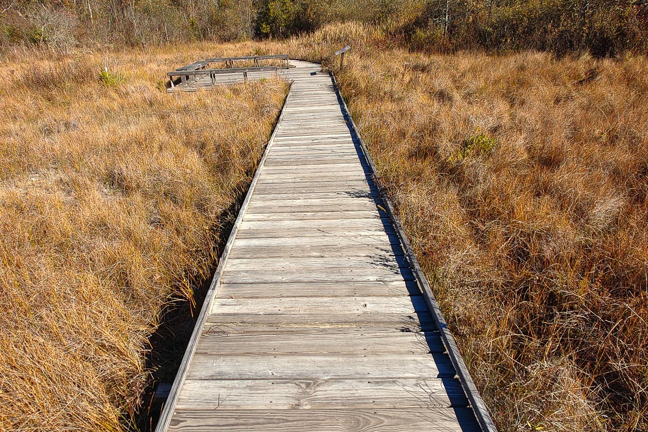 Ohio's Cedar Bog Nature Preserve 3 Urbana Cedar Bog