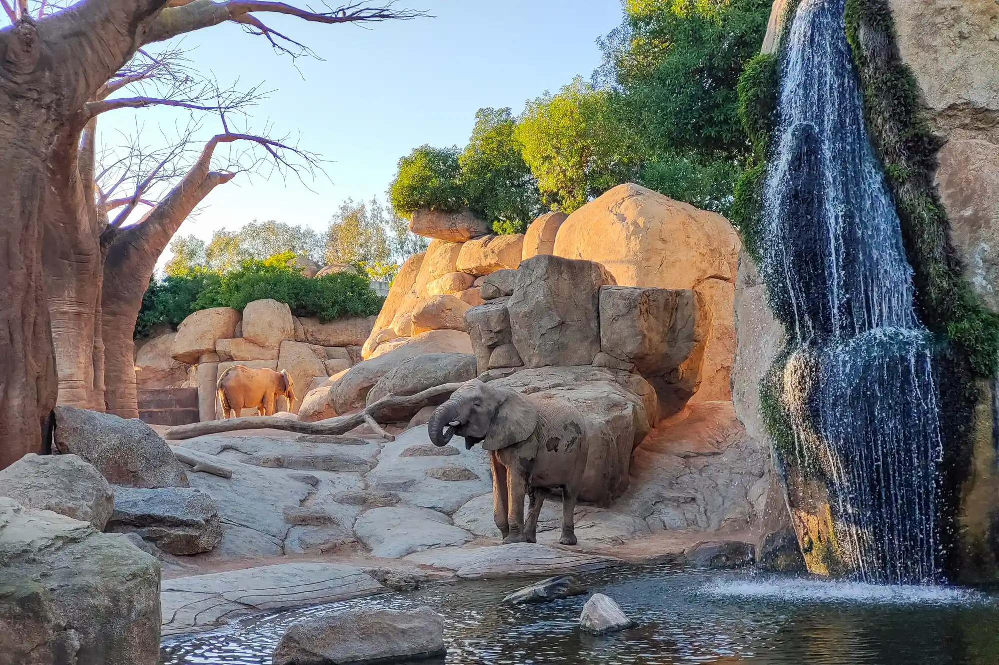 01 Zoo BioParc Valencia IMG 20211213 162550