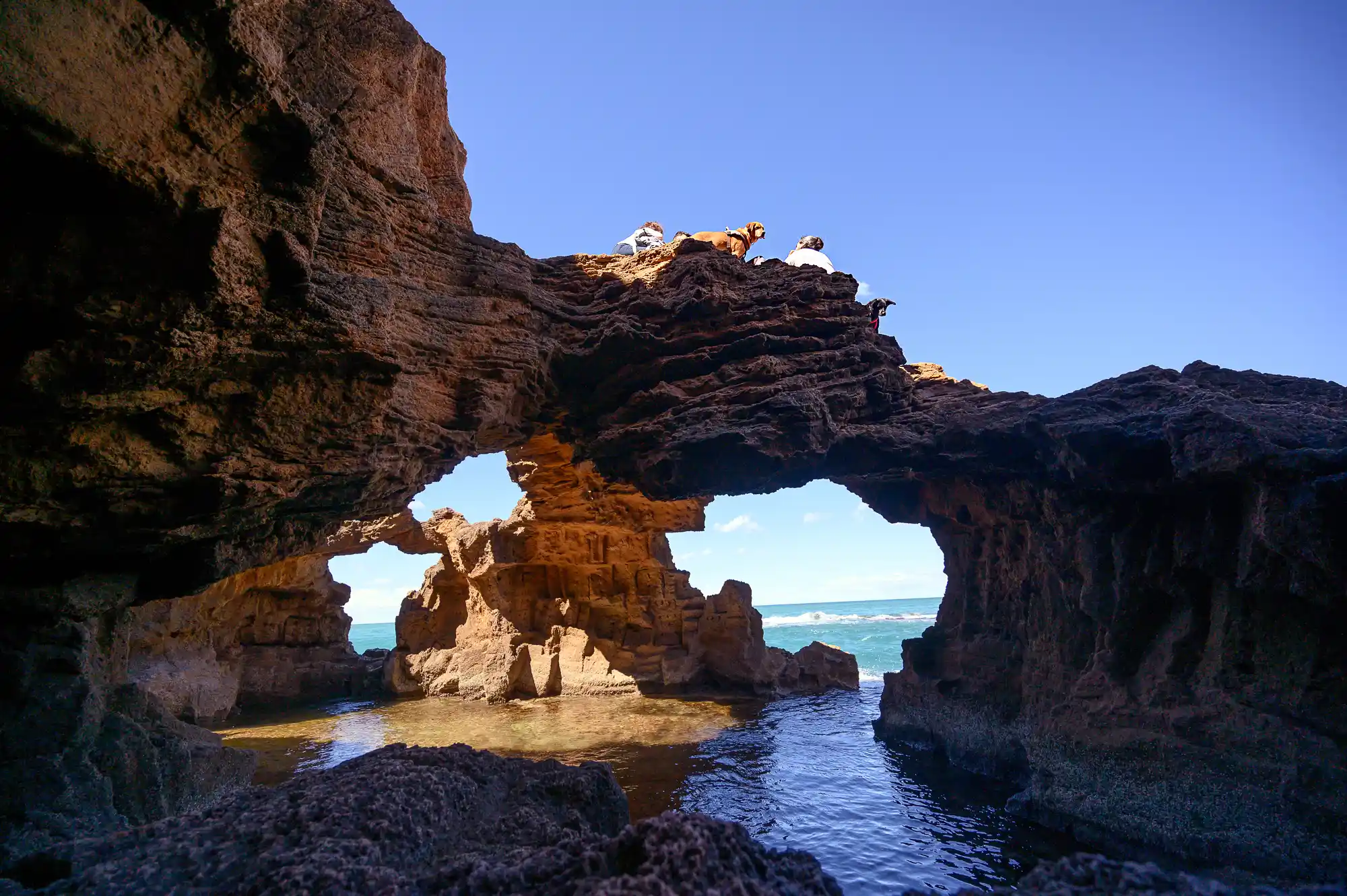 Cova Tallada with dogs