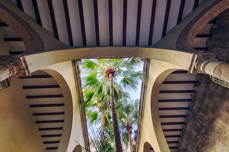 Valencia Palms