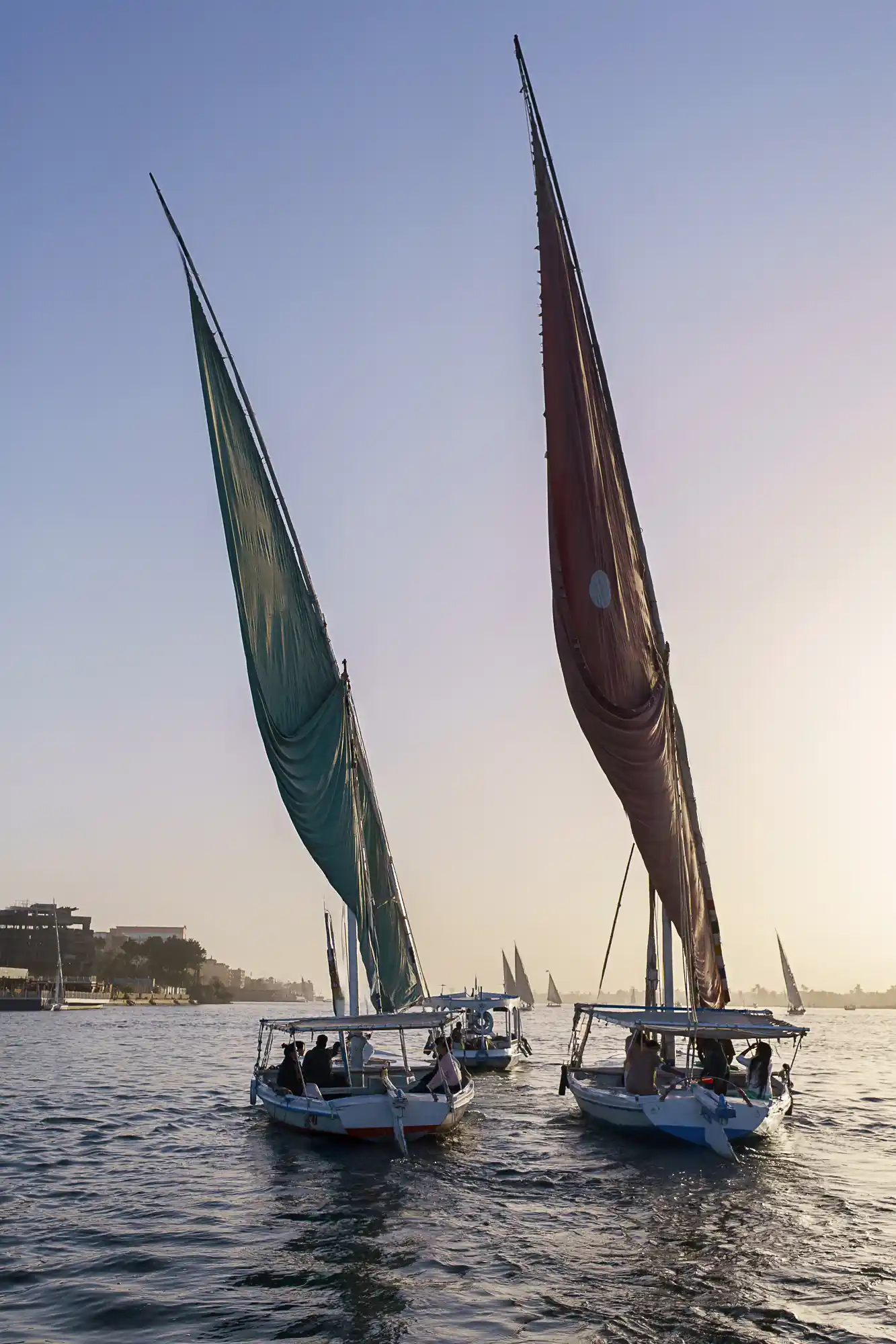 The Nile River, seen from a felucca