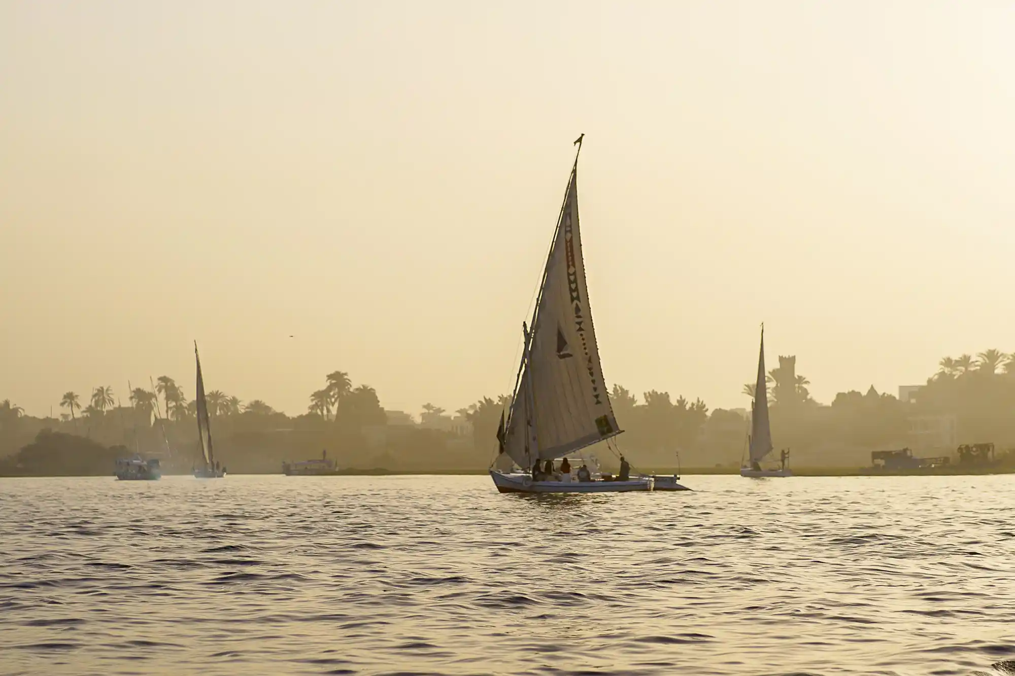 The Nile River, seen from a felucca